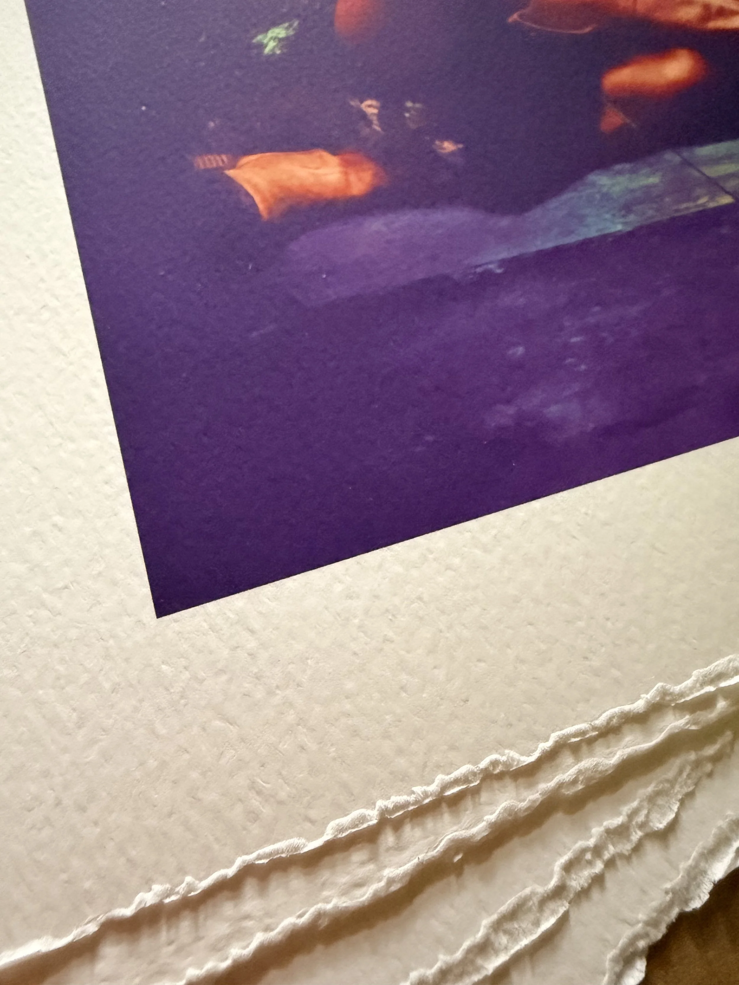 IMG_2763.jpeg