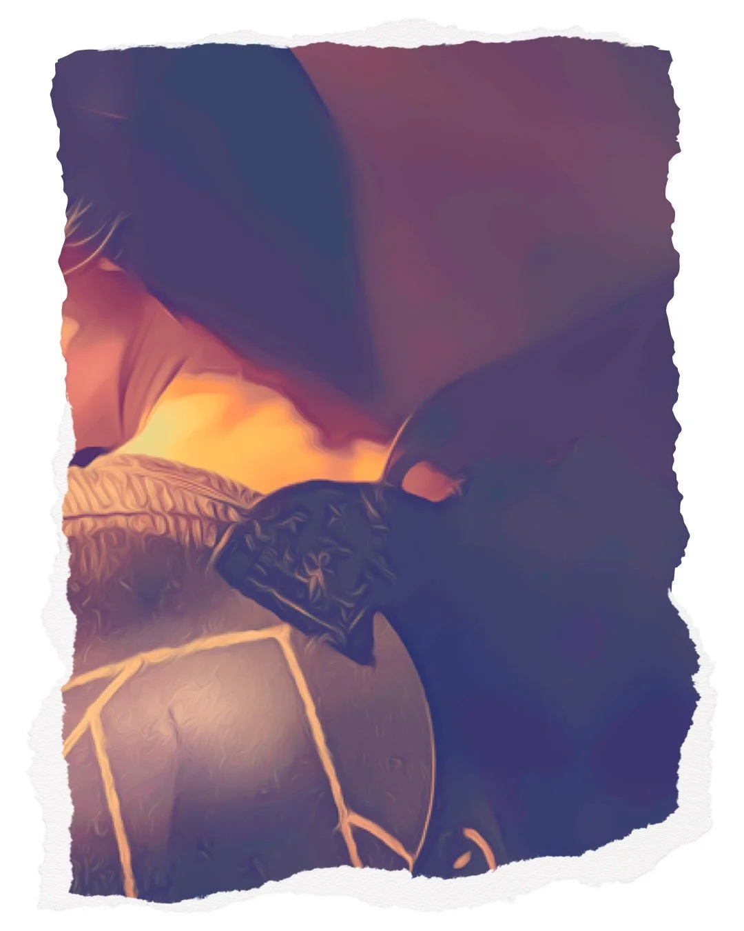 page31.JPG
