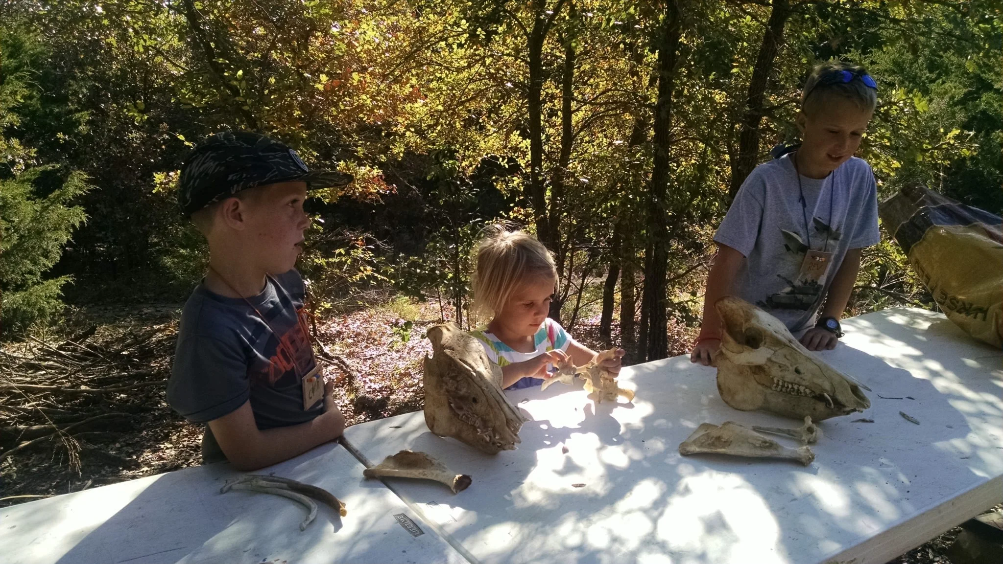 Field Trips — Camp Tonkawa