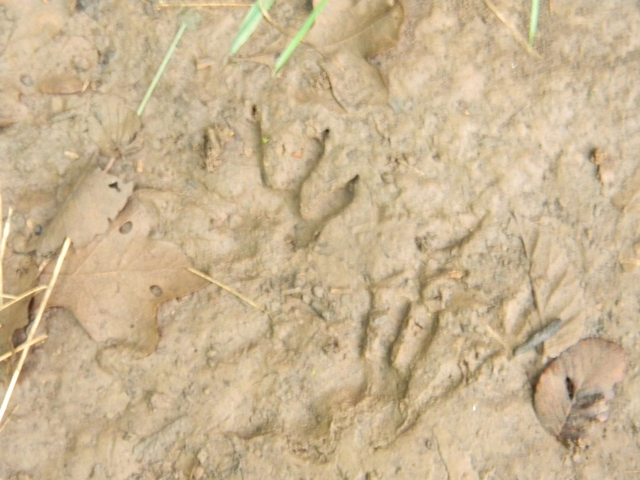 tracking 1.jpg