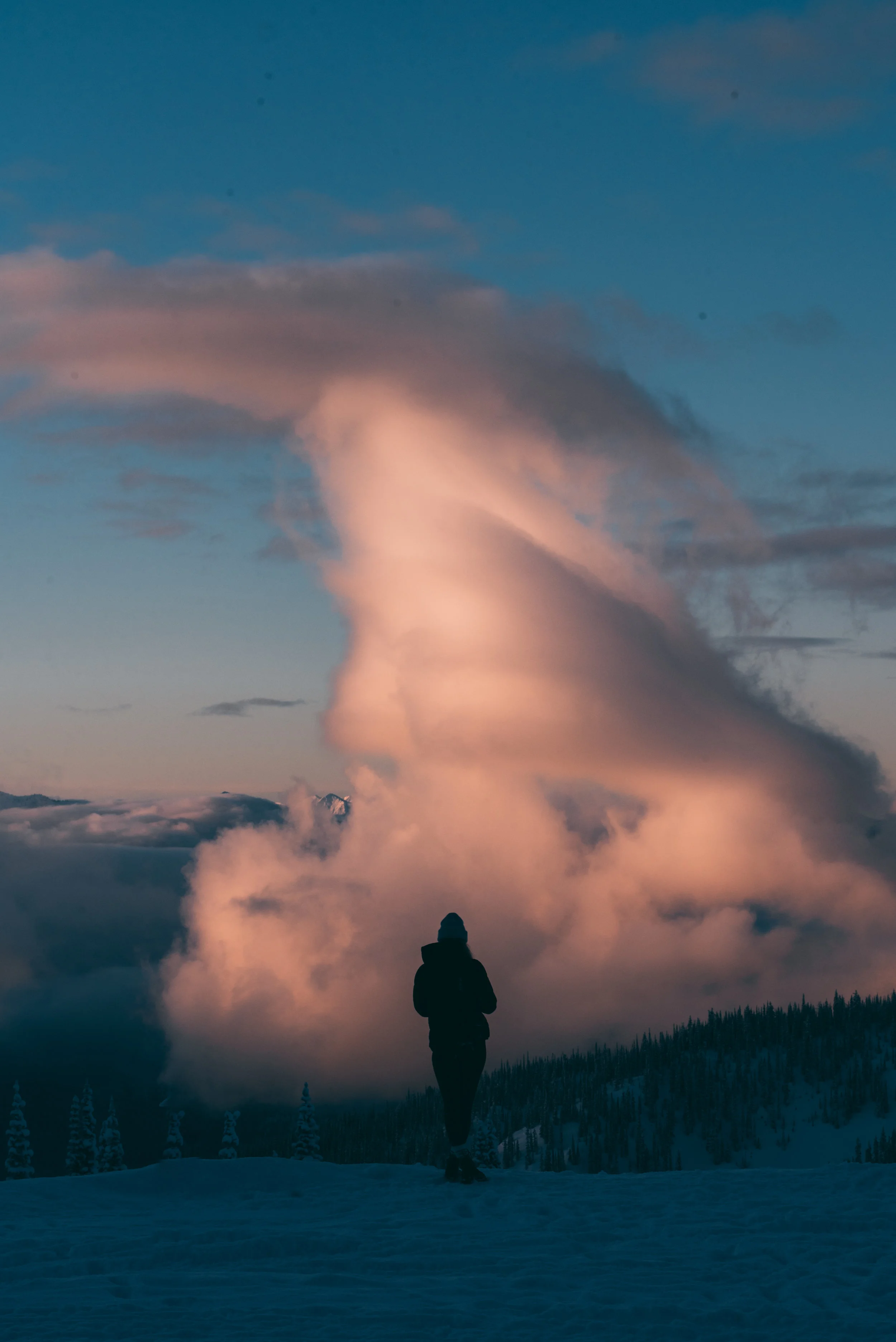 DUSTIN LALIK PHOTO-0936.jpg