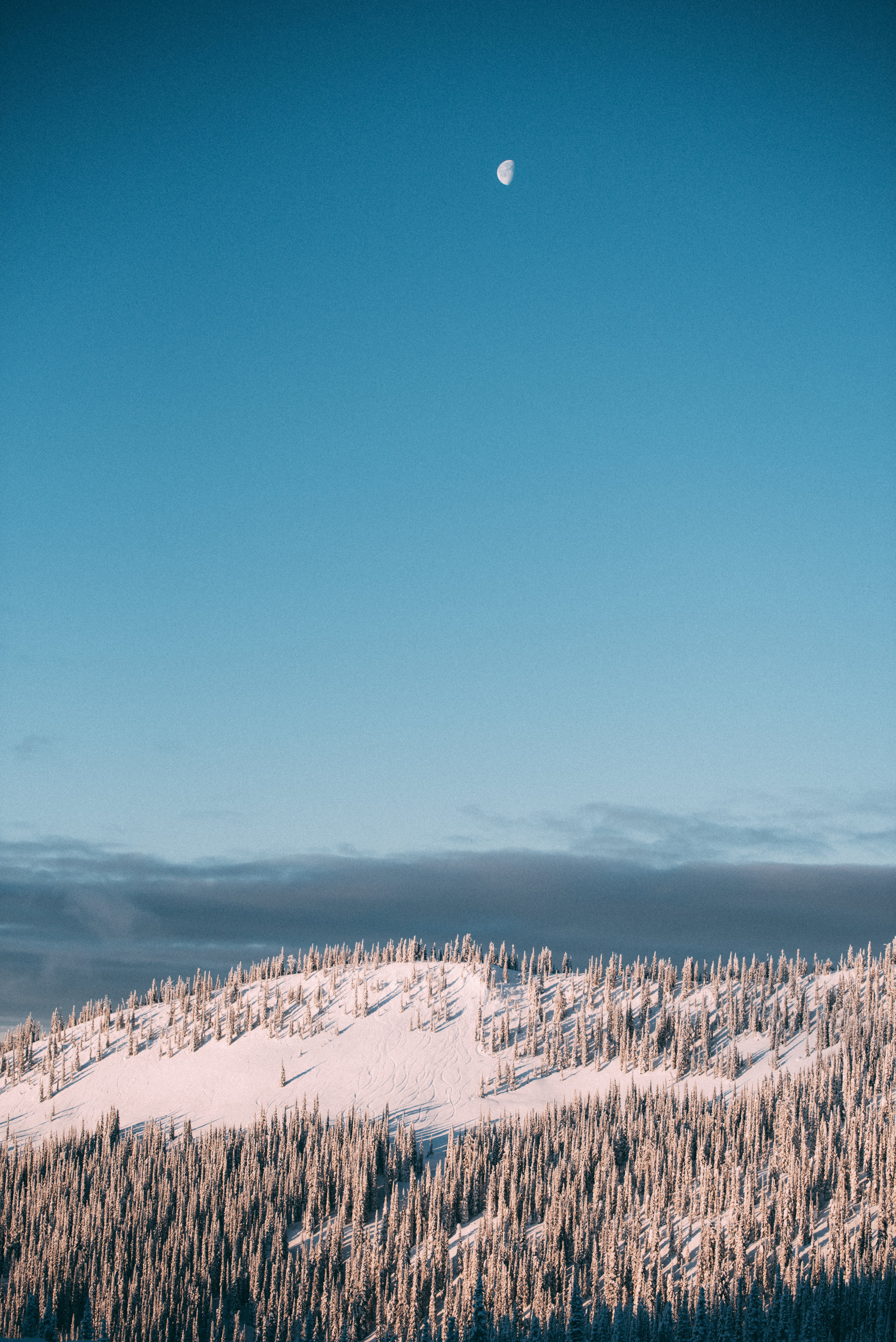 DUSTIN LALIK PHOTO-0921.jpg