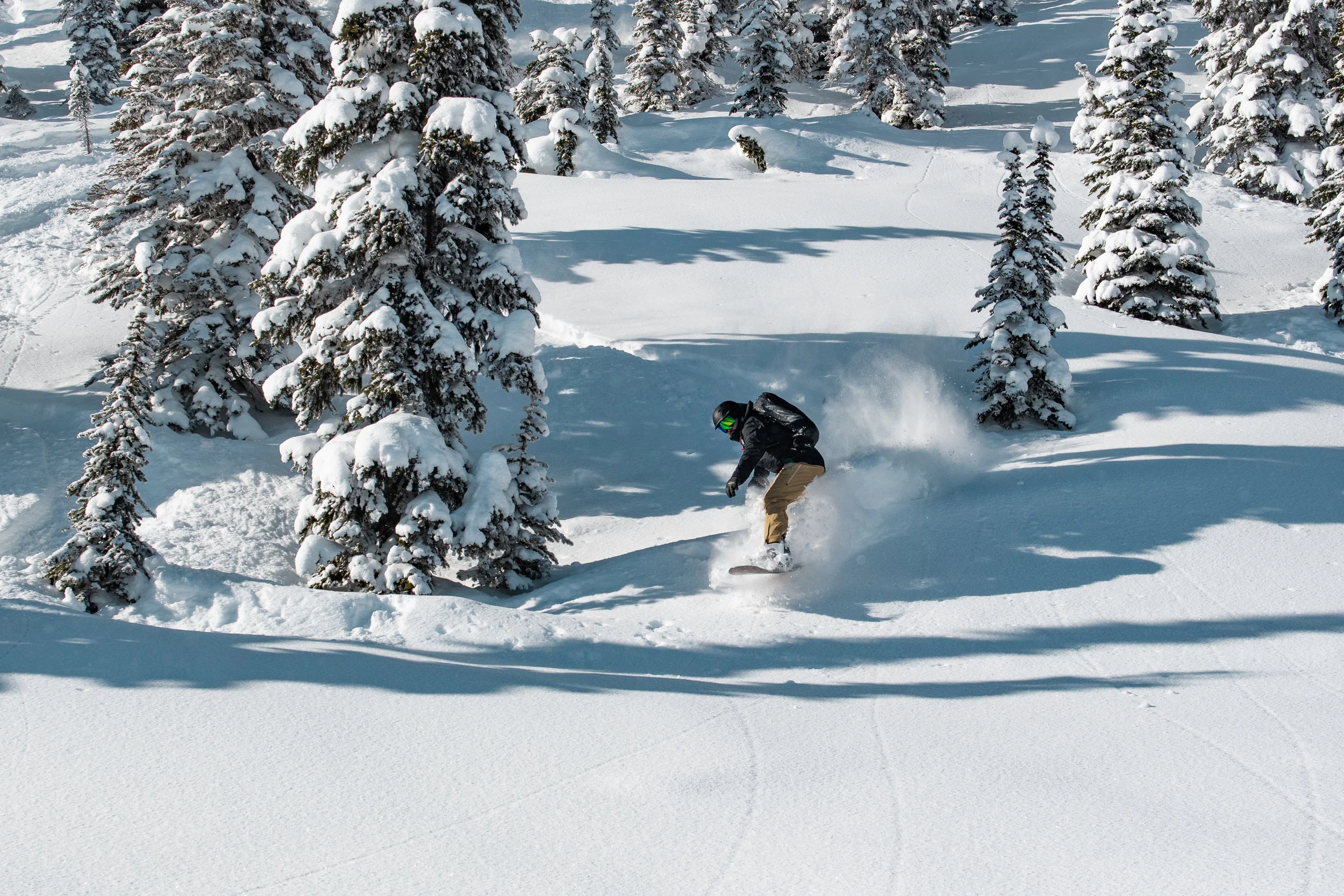 DUSTIN LALIK PHOTO-8722.jpg