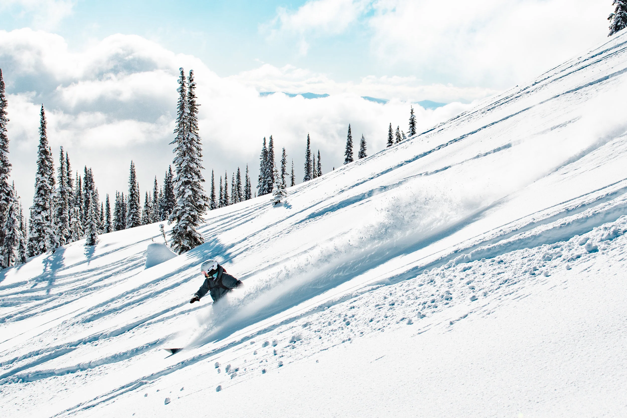 DUSTIN LALIK PHOTO-8749.jpg