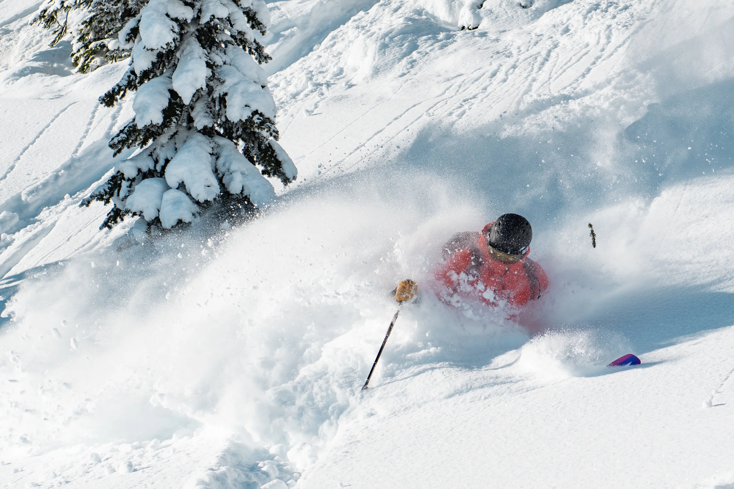 DUSTIN LALIK PHOTO-8772.jpg