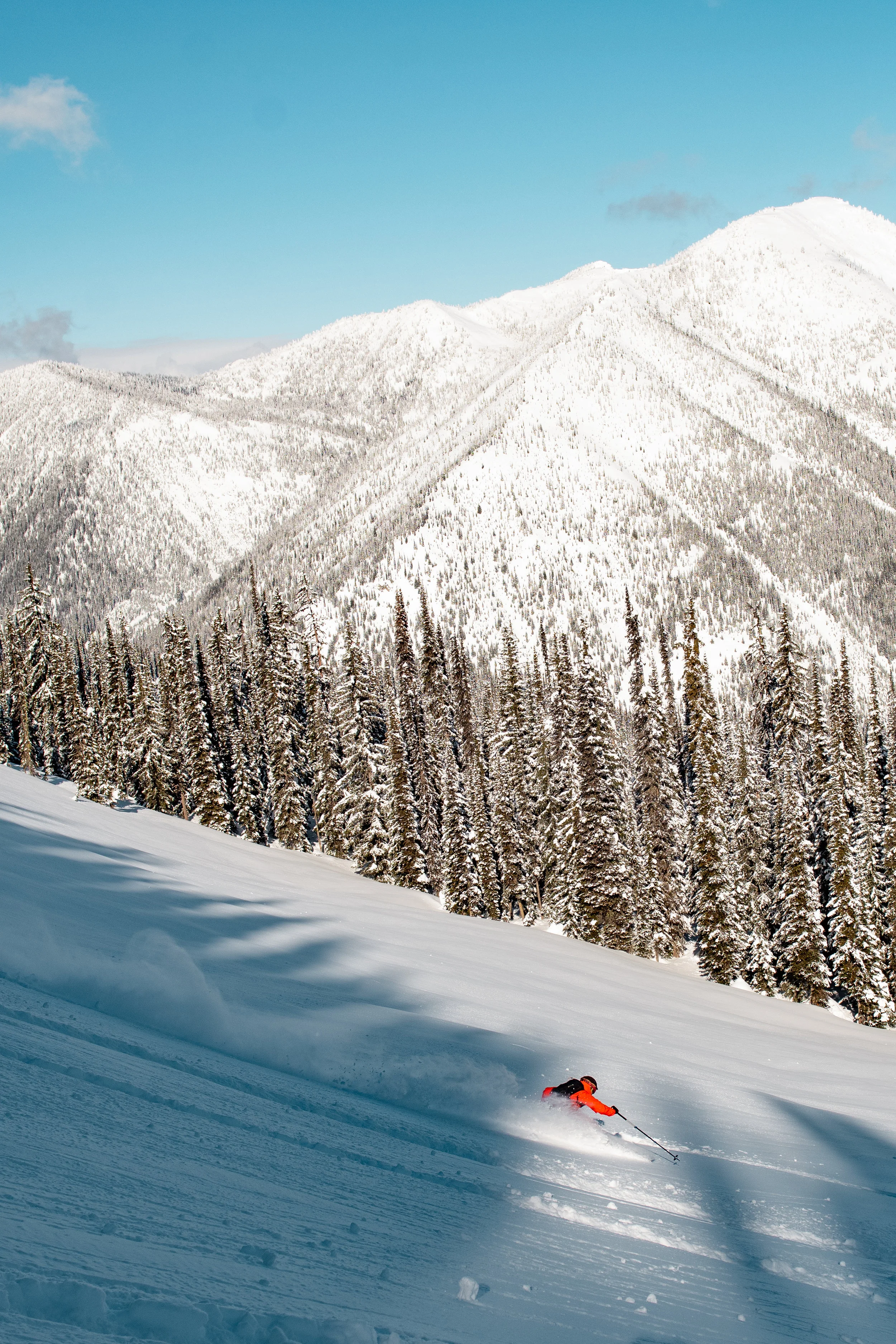 DUSTIN LALIK PHOTO-8850.jpg