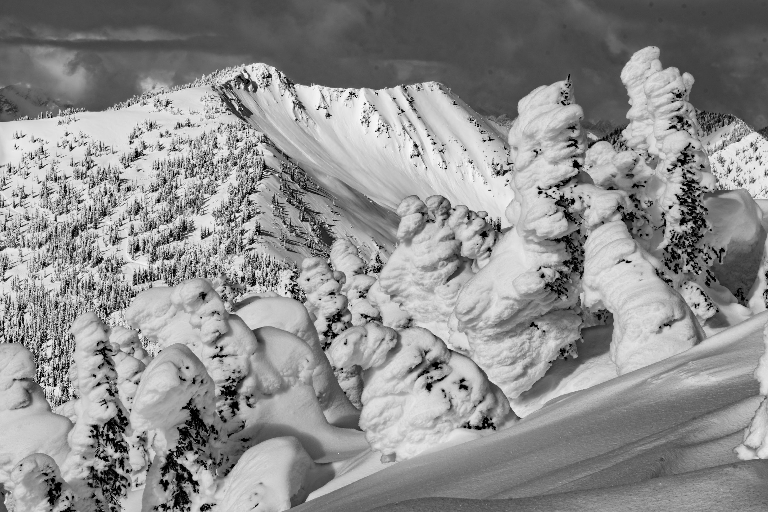 DUSTIN LALIK PHOTO-8999.jpg