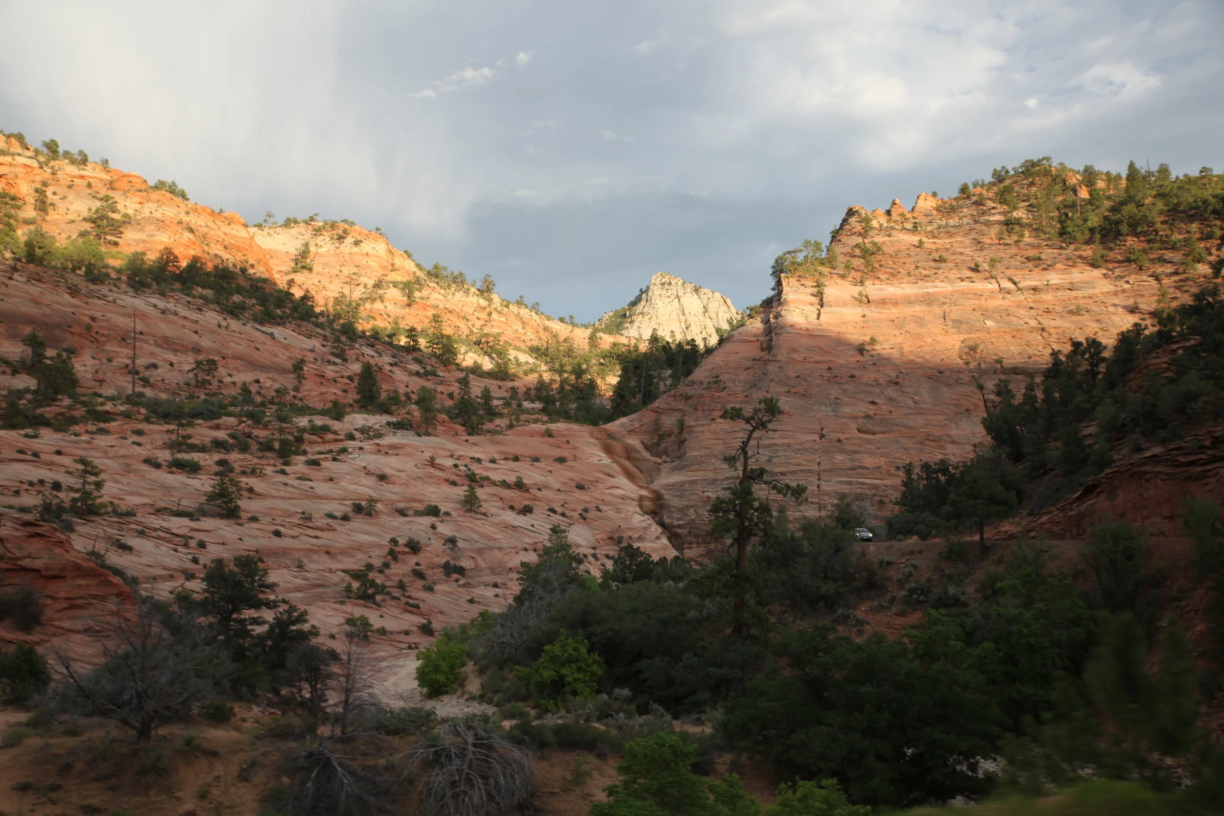 IMG_8065.JPG