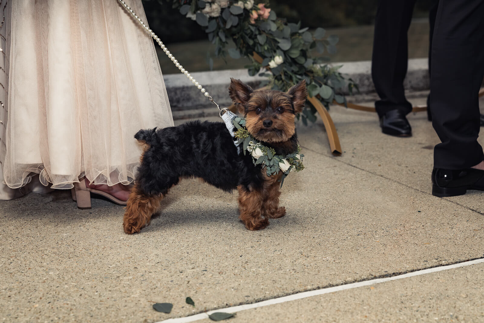 Josh + Noah-Ceremony-2.jpg