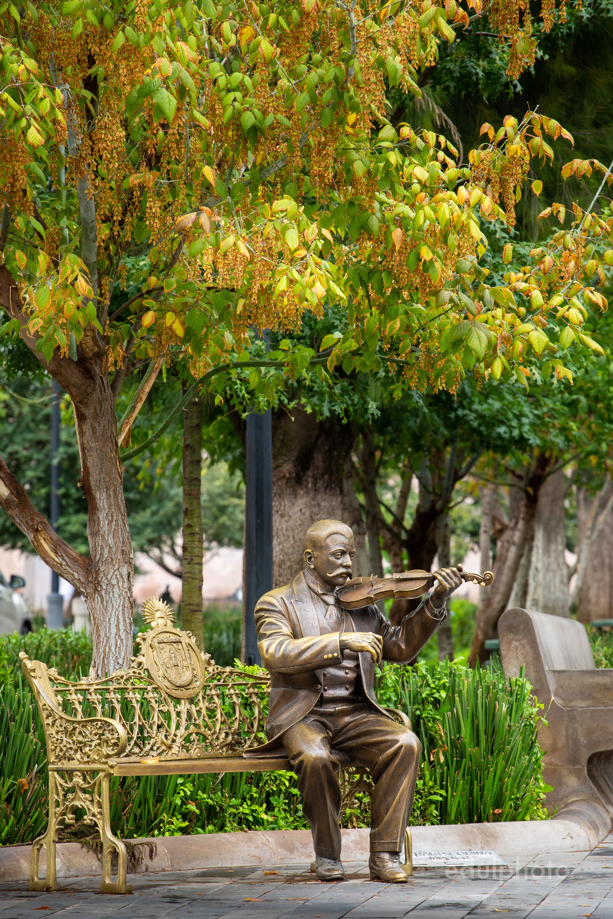 alameda trinidad garcia de la cadena