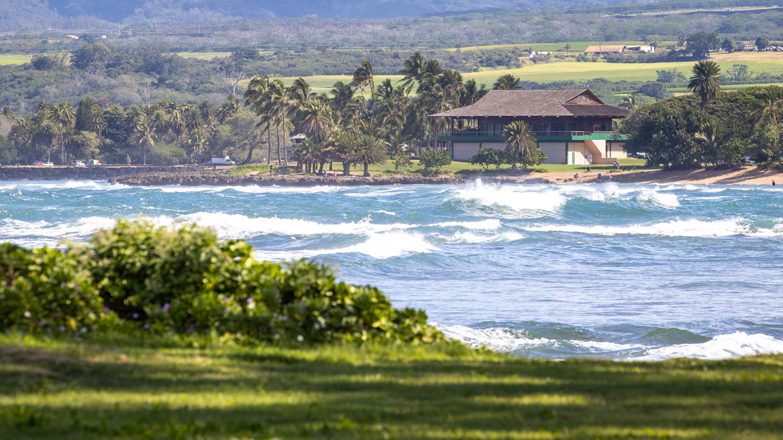 Waialua bay North shore