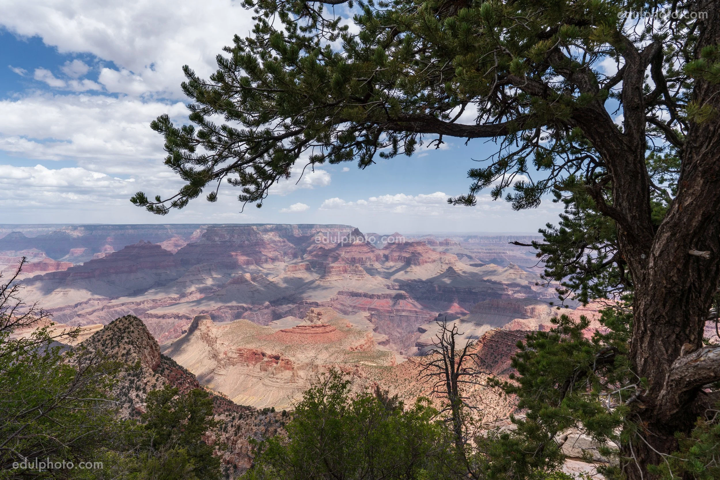  25mm F8 1/640 ISO125 
