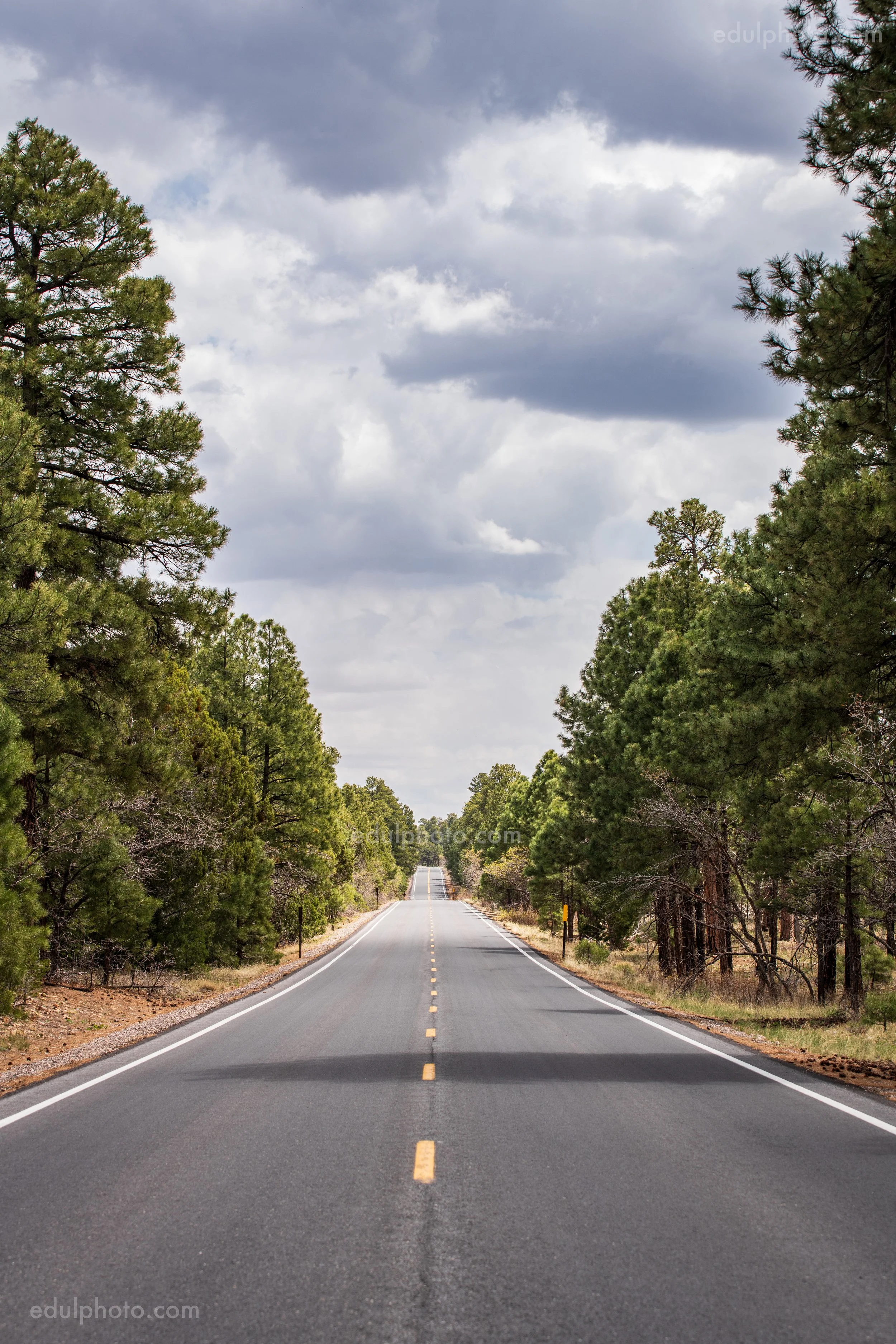 Highway 64