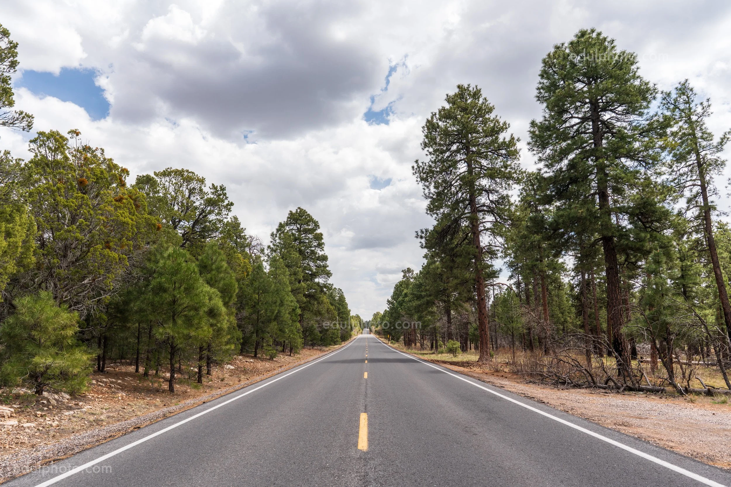 Highway 64