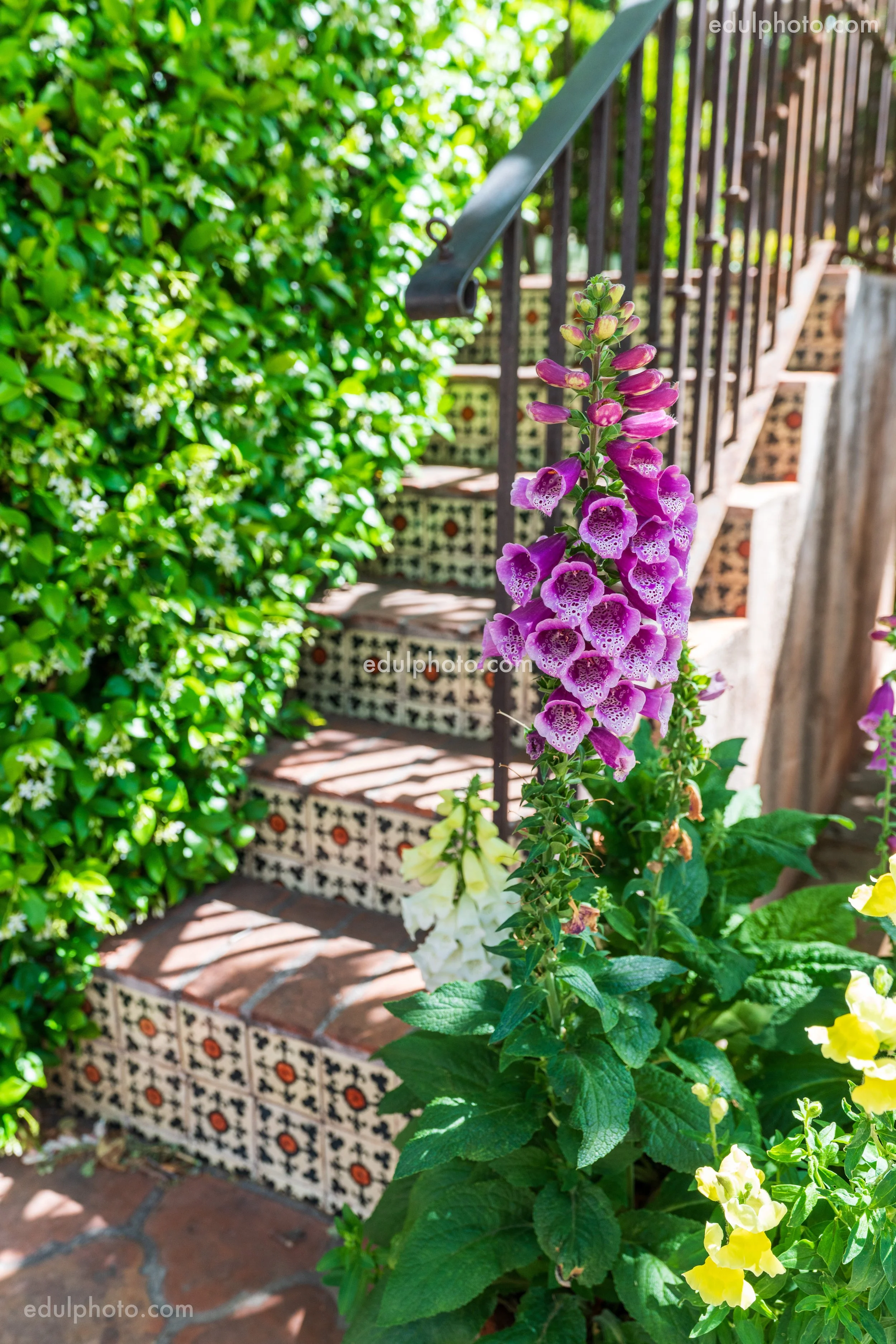  32mm F5.6 1/250 ISO100 