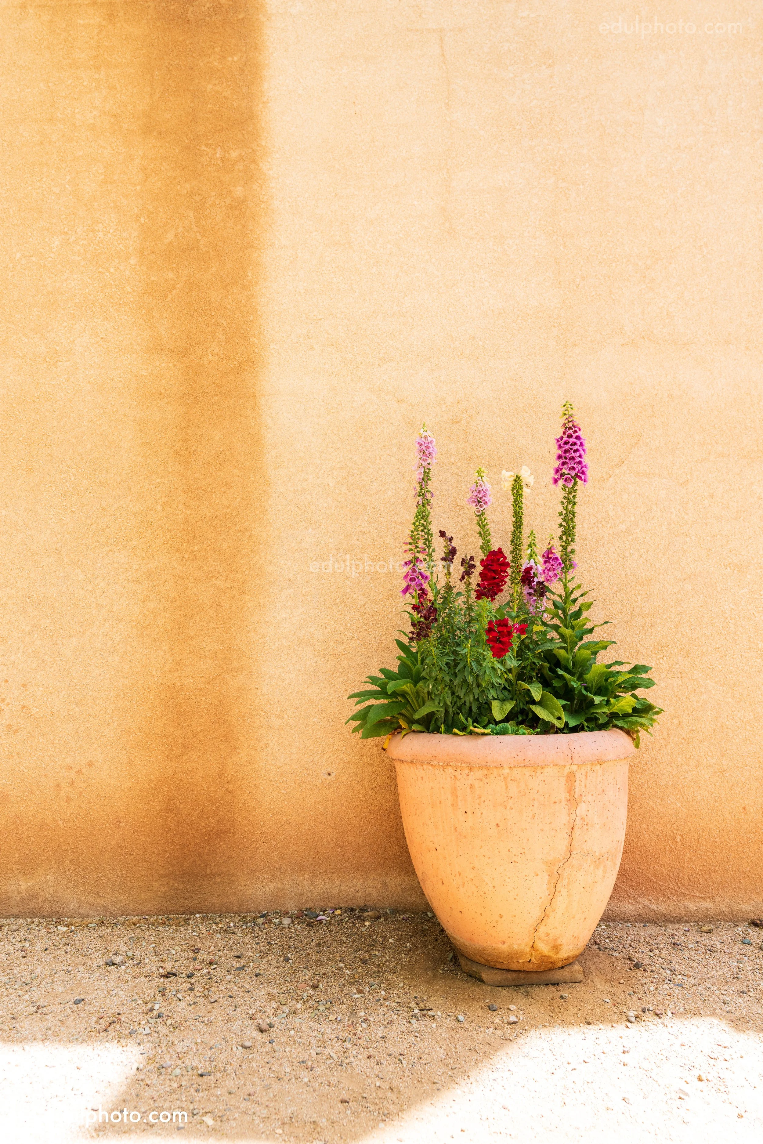  24mm F5 1/320 ISO100 