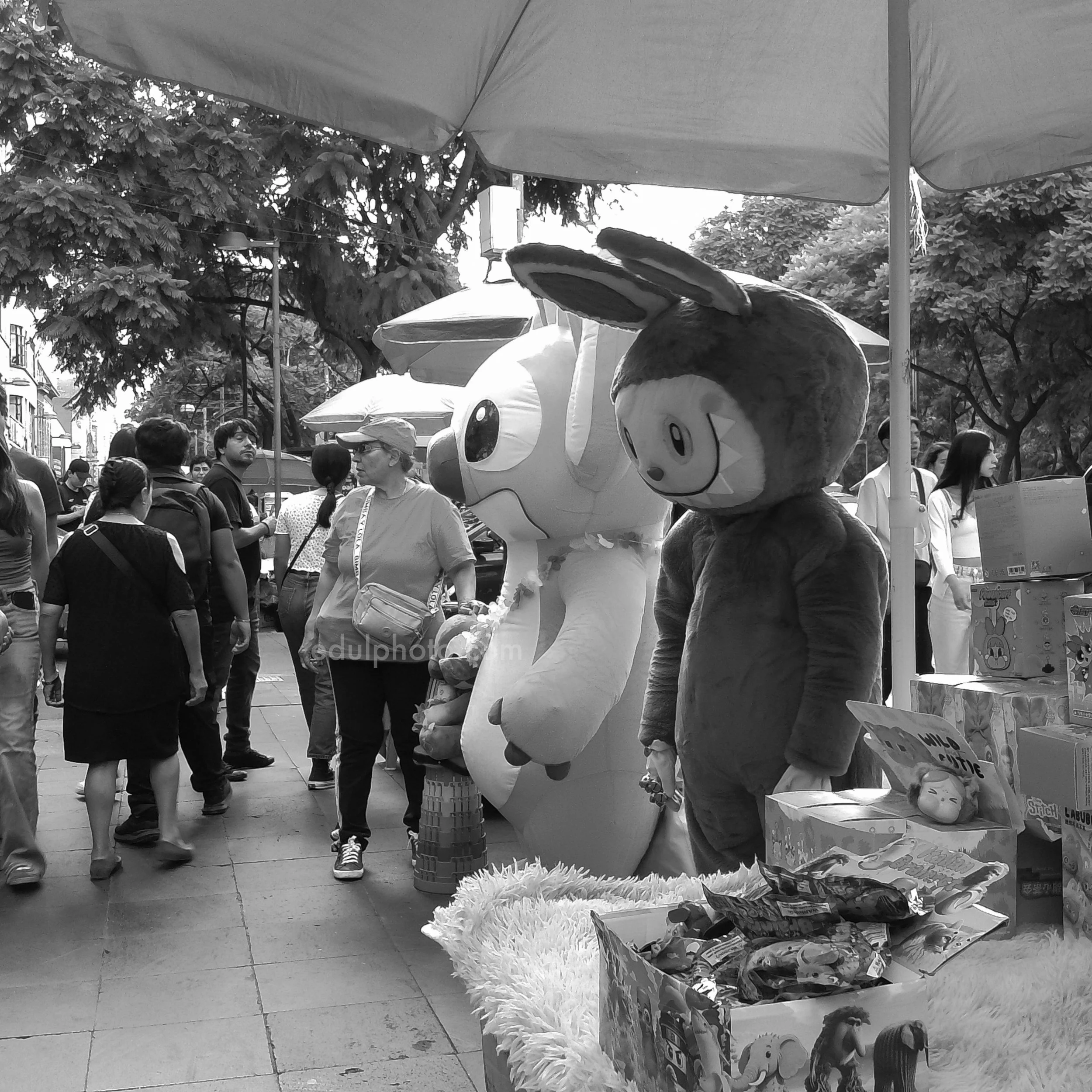 PICT0159 BW.jpg