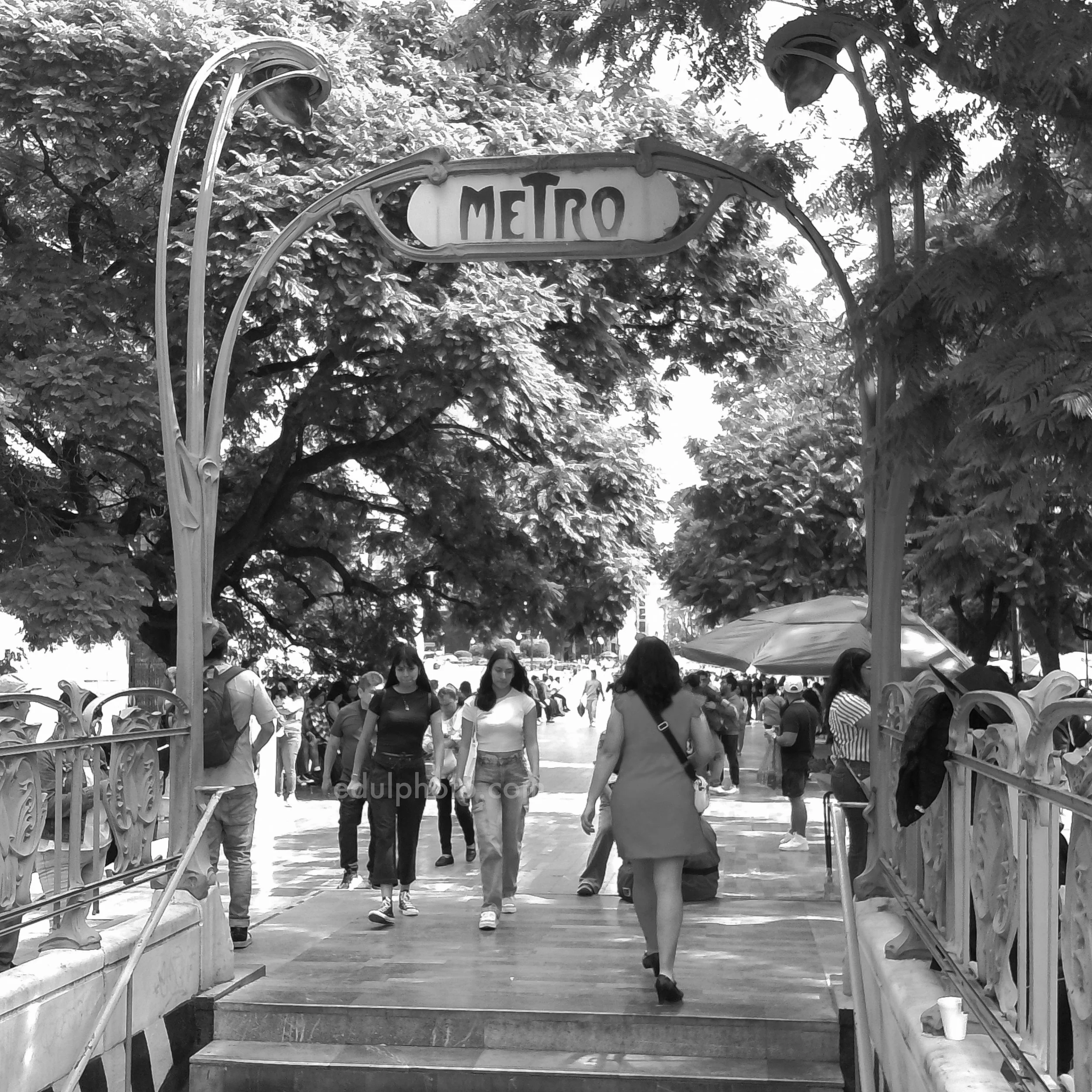PICT0113-2 BW.jpg