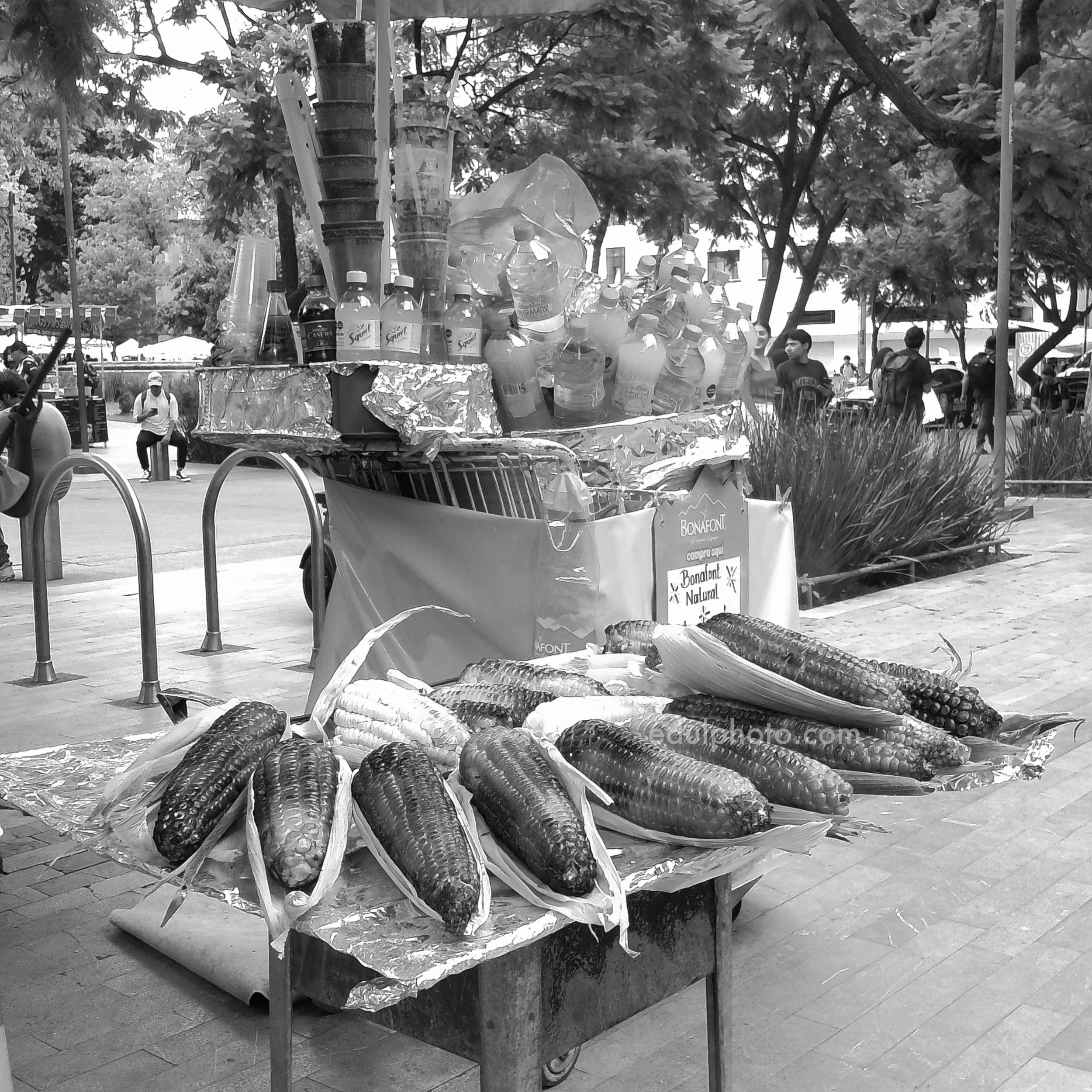 PICT0562-2 BW.jpg