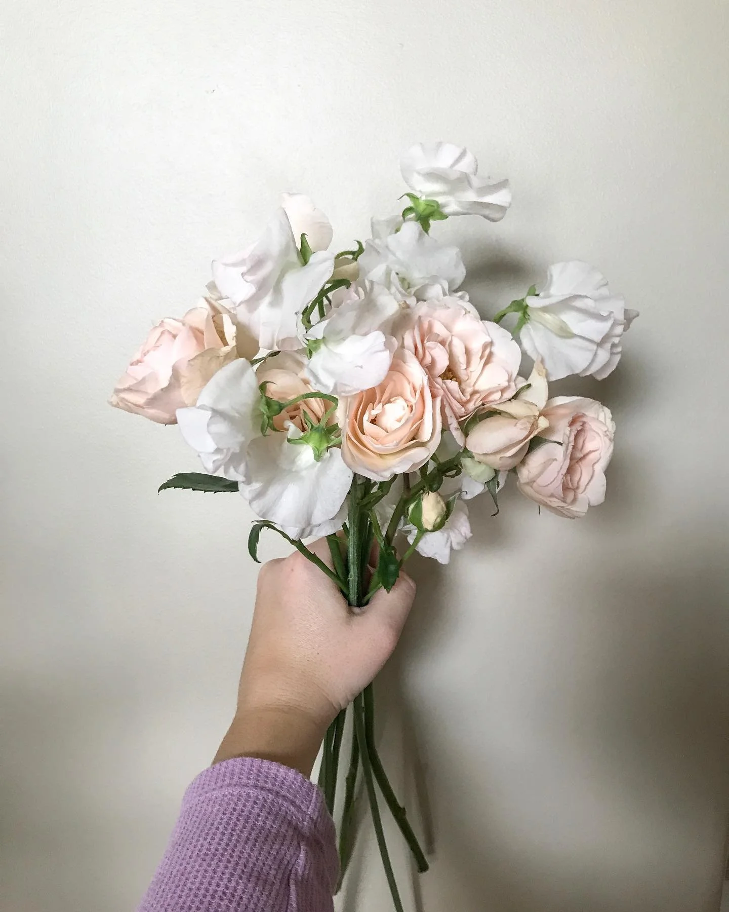 There&rsquo;s just something that is so romantic and delicate when it comes to spray roses and sweet peas. ✨
