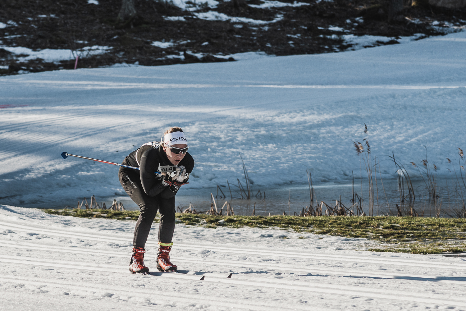 Bild på Sofia CCC 1000.jpeg