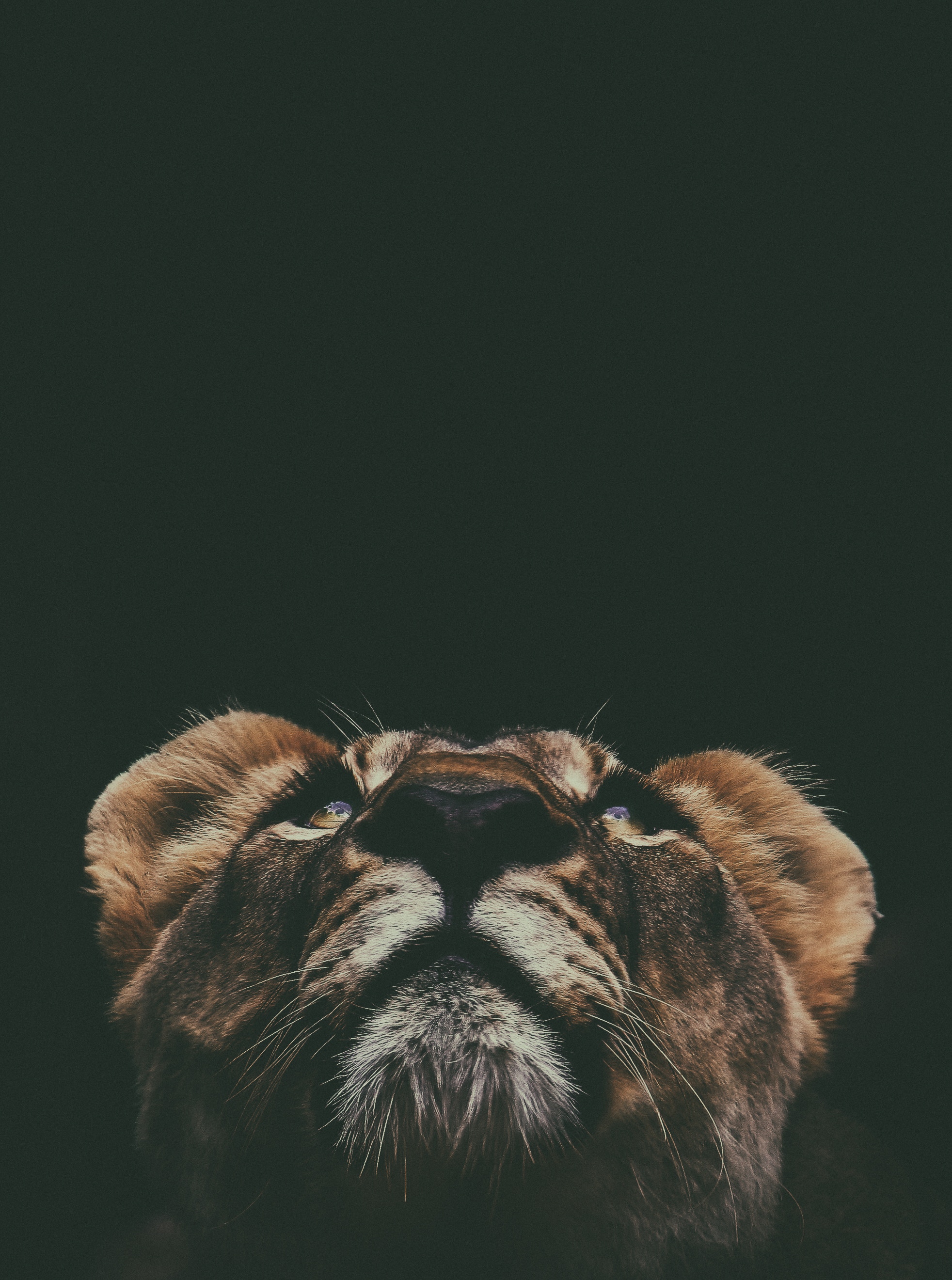 prince-david-454229-unsplash.jpg