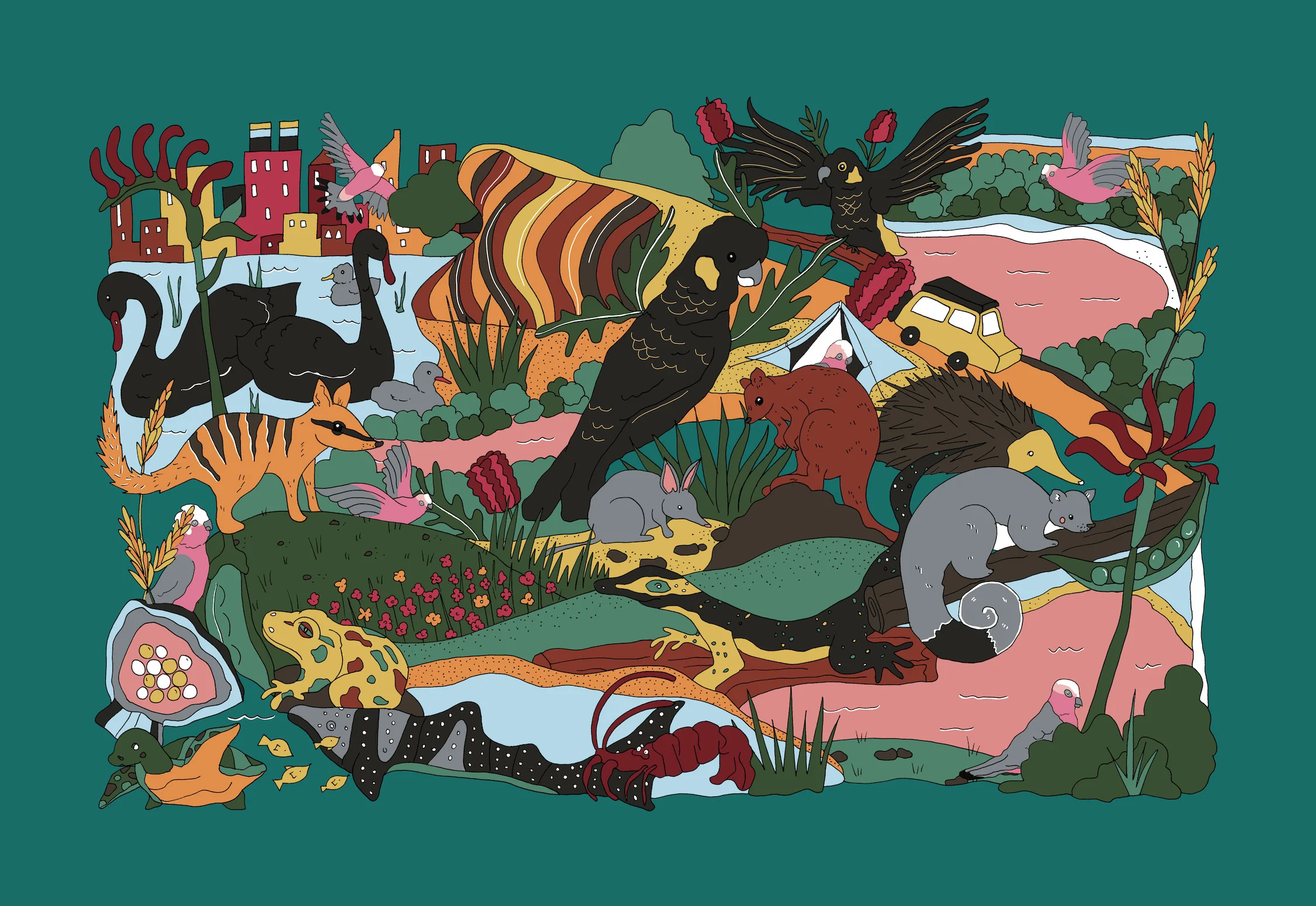 meganmckean_illustration_westernaustralia.jpg