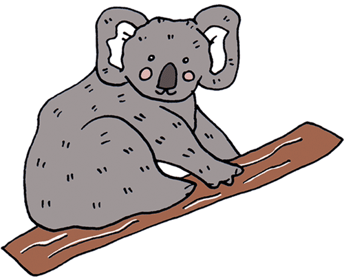 koala_meganmckean.gif
