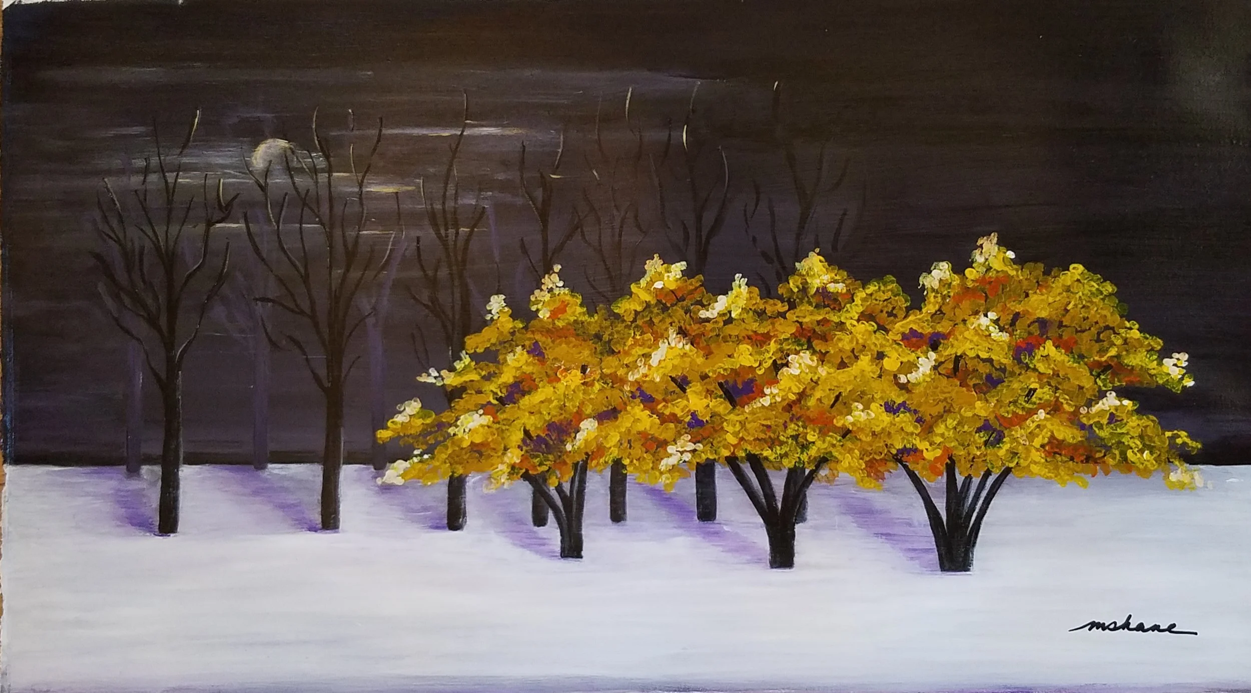 Autumn Evening