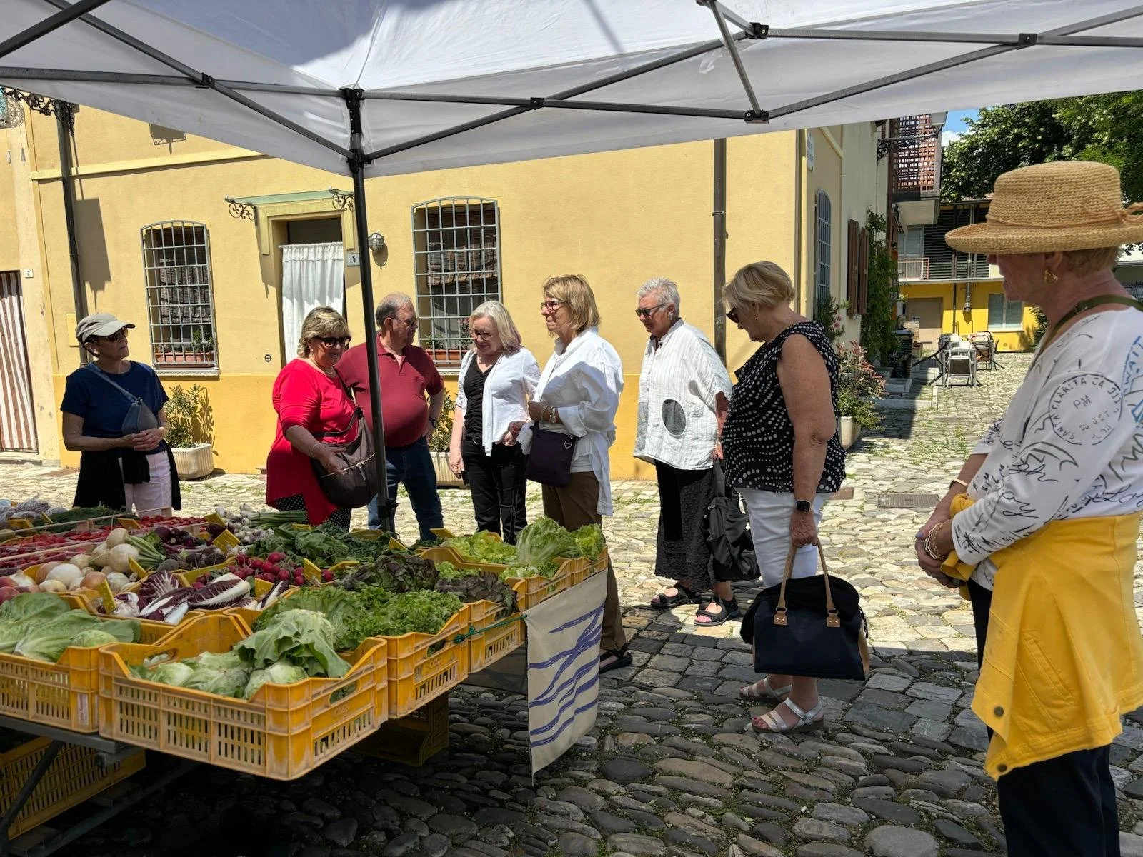 WhatsApp Image 2024-05-26 at 12.20.29 (2).jpeg