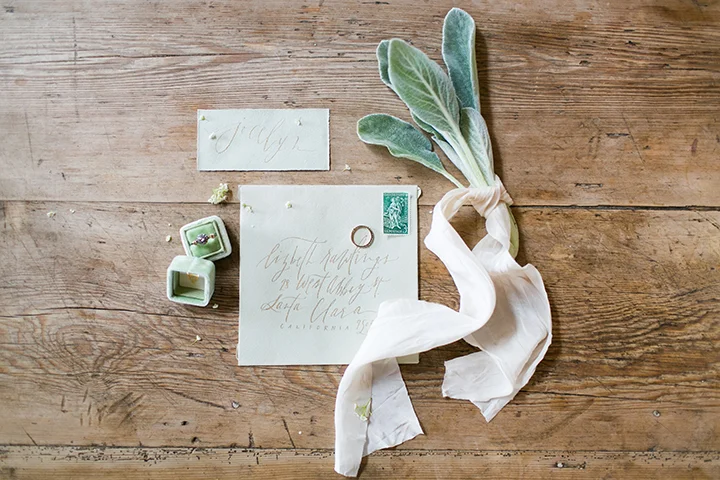 StephanieFishbeinPhotography 1102.jpg