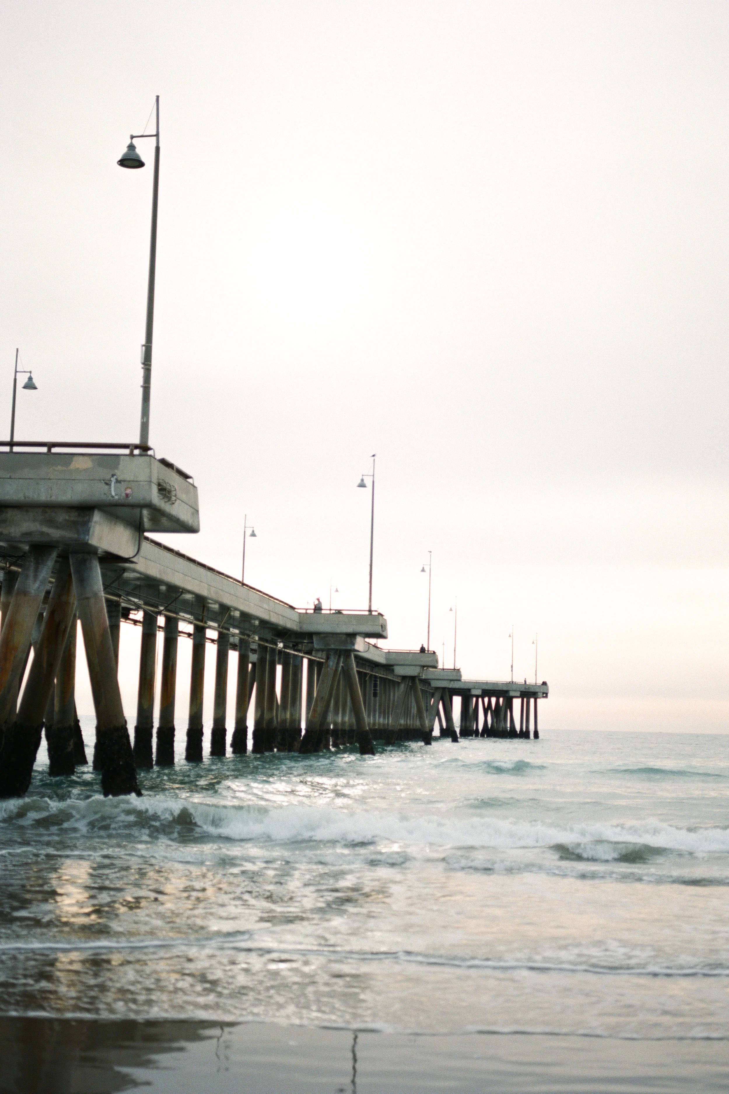 StephanieFishbeinPhotography-8644.jpg