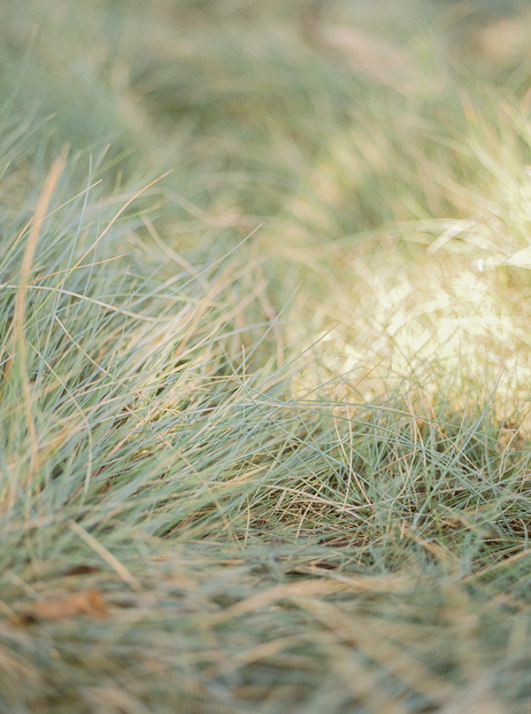 los_angeles_wedding_photographer 6.jpg