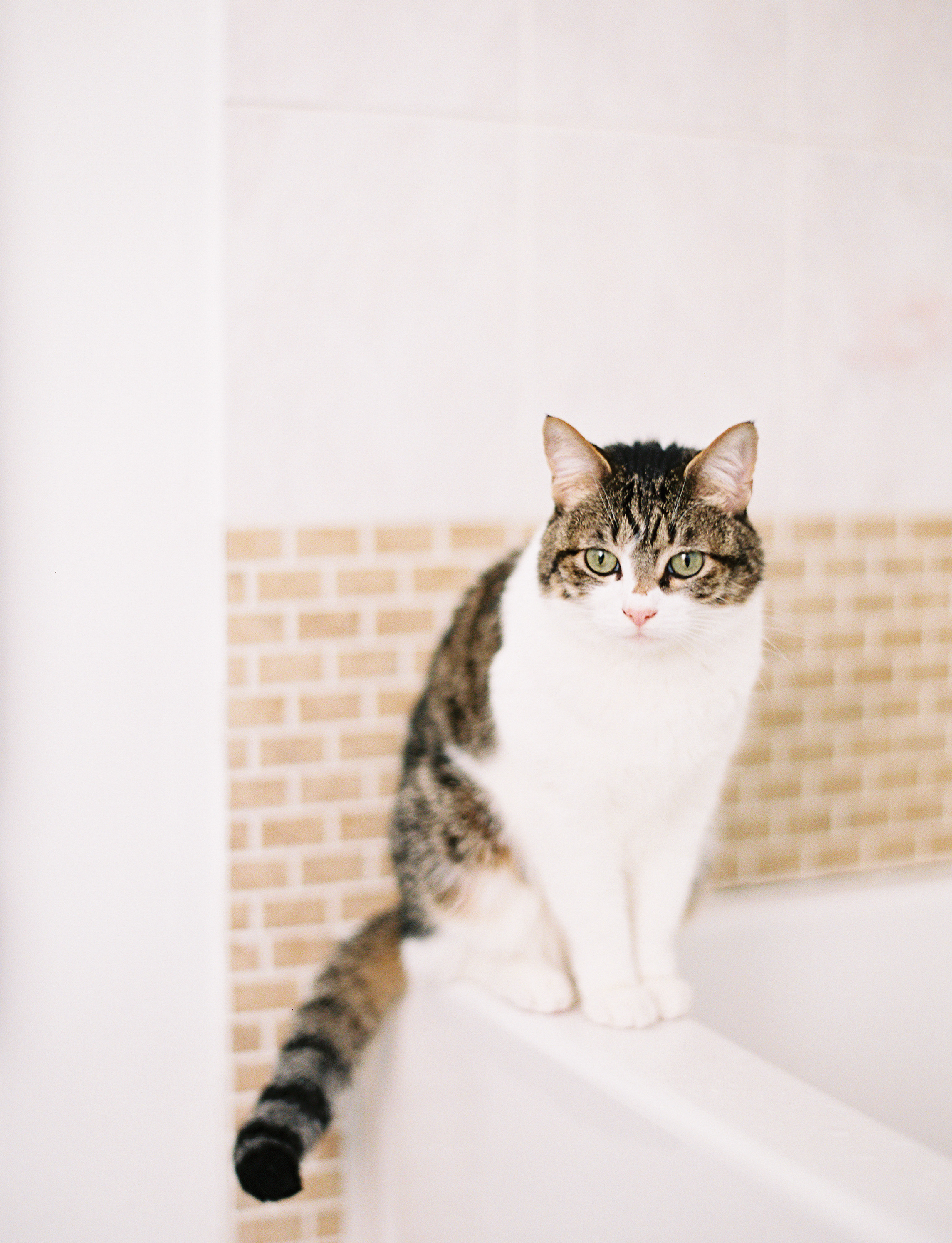 Contax-round1-1024.jpg