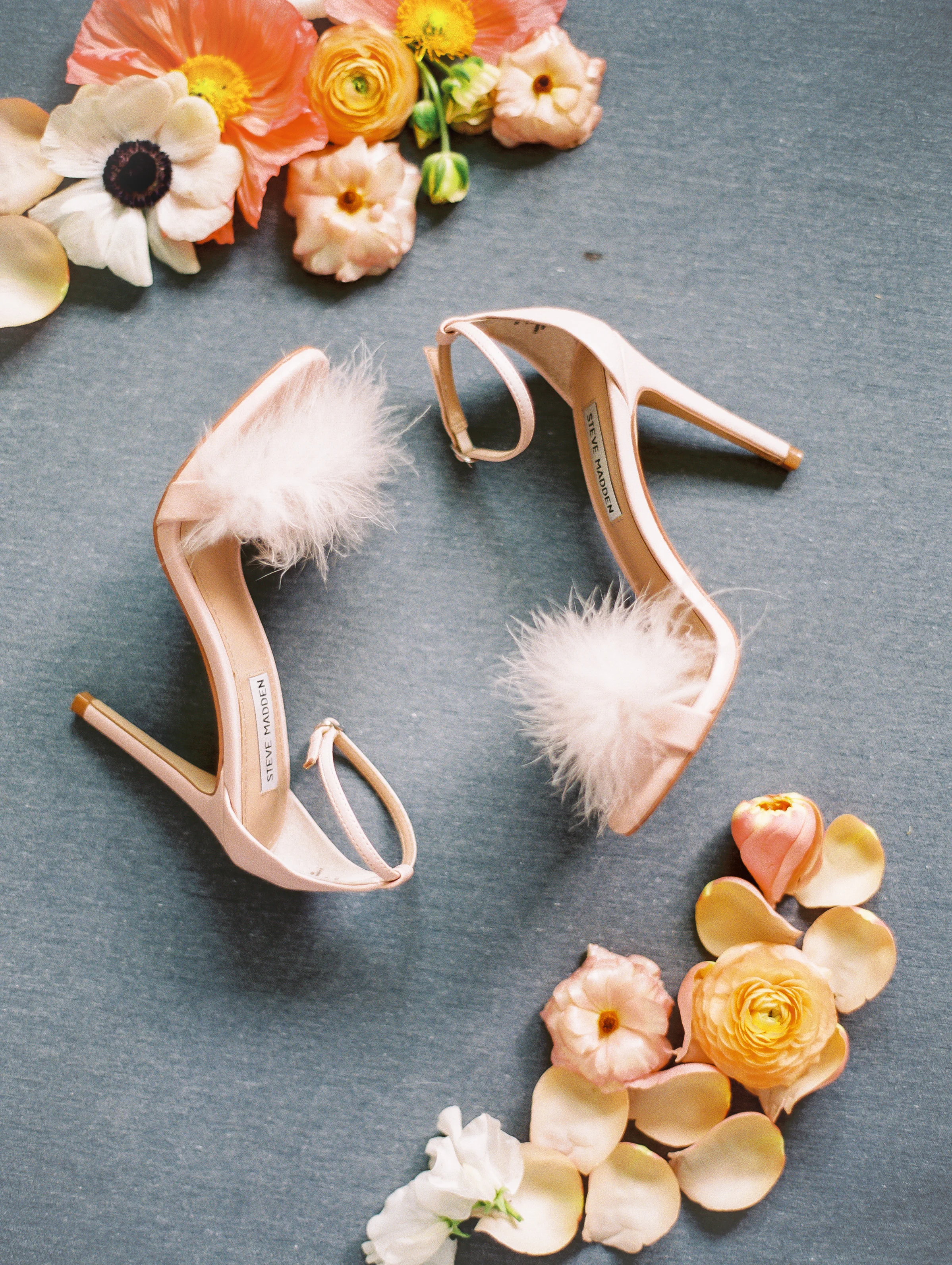 StephanieFishbeinPhotography-004-6.jpg
