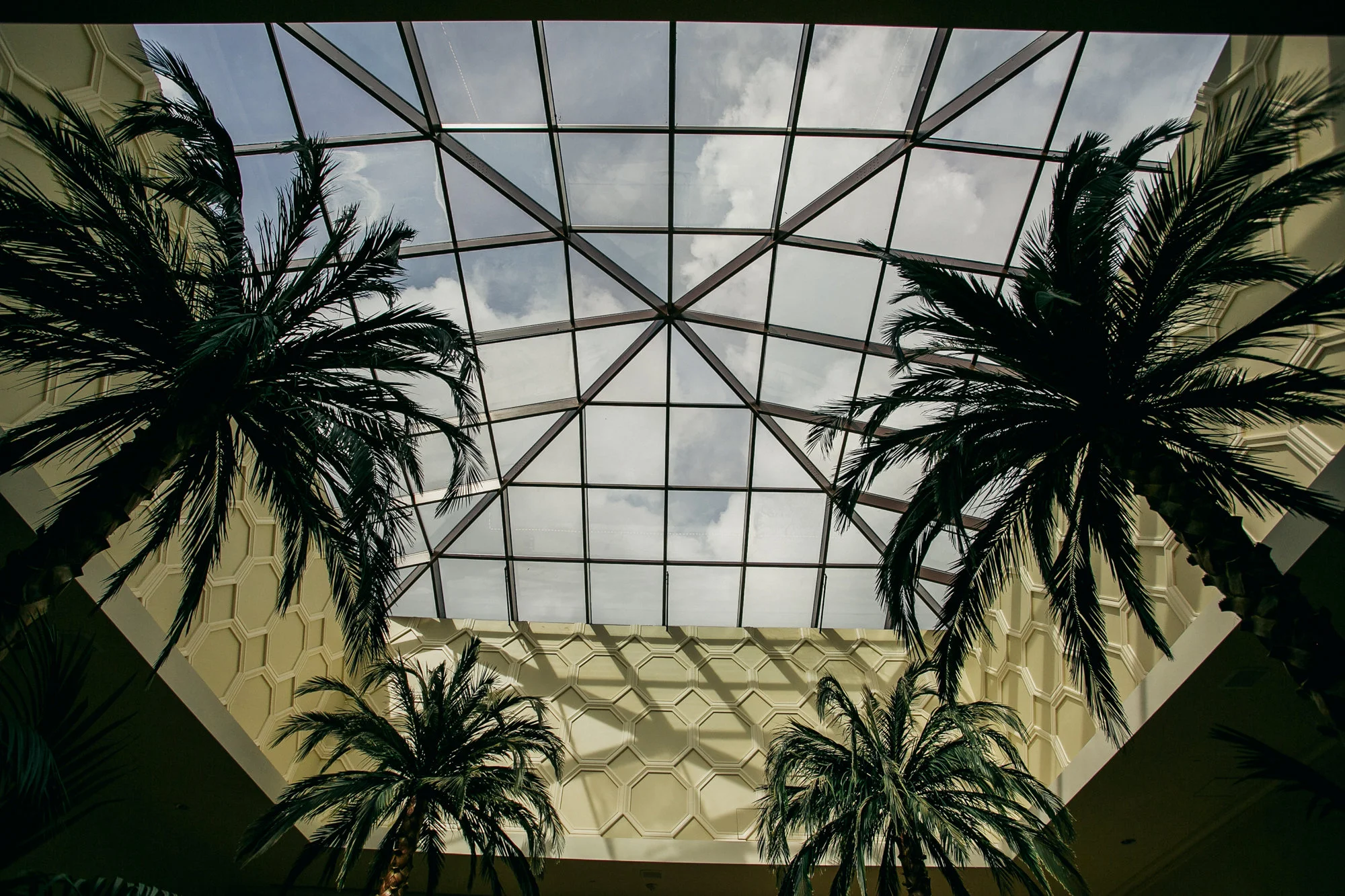 20151119_124601-0400_ENGAGE15_ORLANDO_DAVE_NOONAN_C10_STUDIOS.jpg