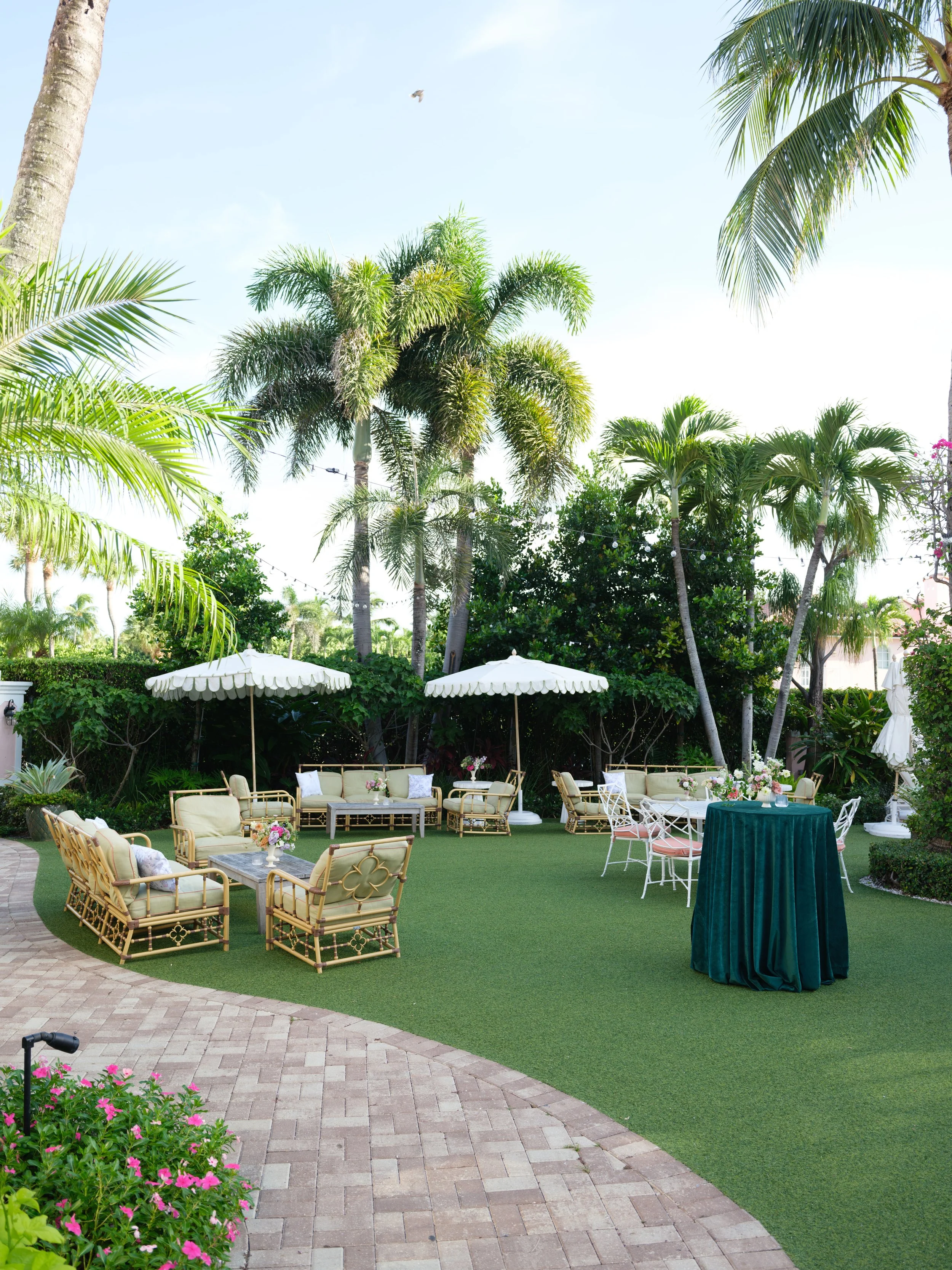 2025.06.27_HayleyPaige_LaViaVisual0543 copy.jpeg