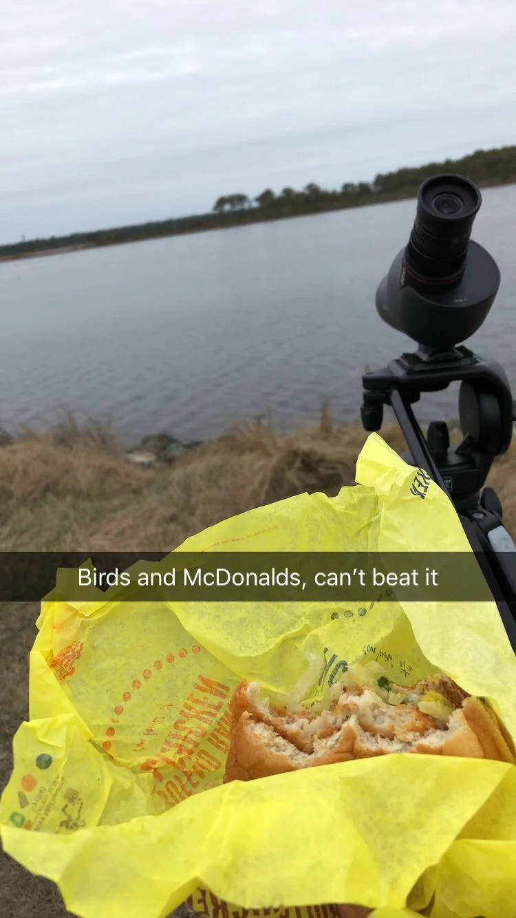 Luck,  Kindness, and Rarities