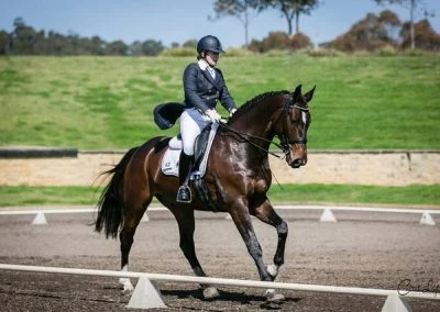 Virginia-Russell-Desert-Star-FEI-Champion-HOTY-sml-400x284.jpg