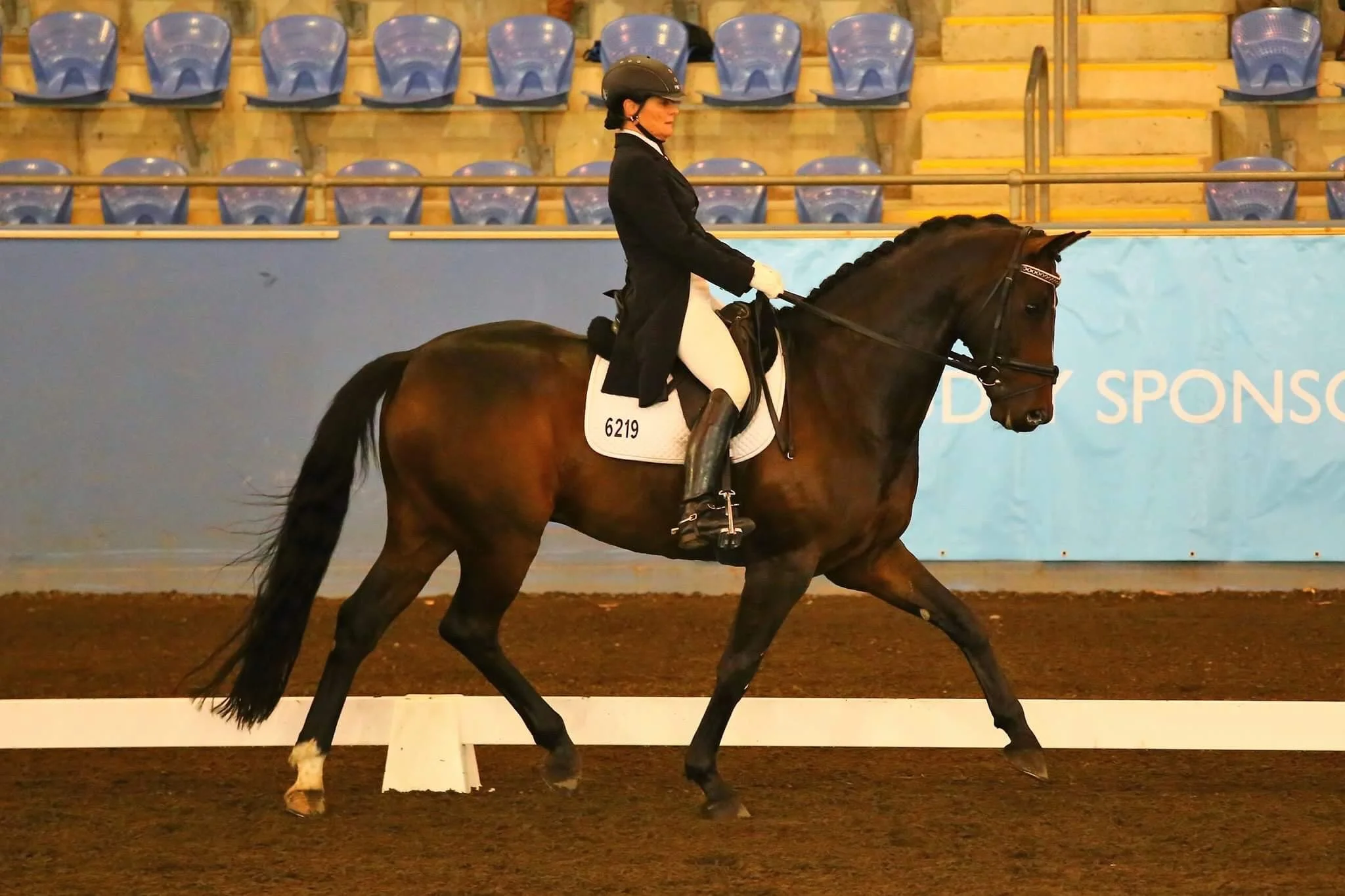 Helen Macaskil and F1 Soy Bill - AOR FEI Horse of the Year.jpg