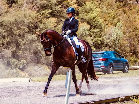 Maidie+Dodd+and+Hunterview+Cristal+-+OPEN+Medium+Horse+of+the+Year.jpg