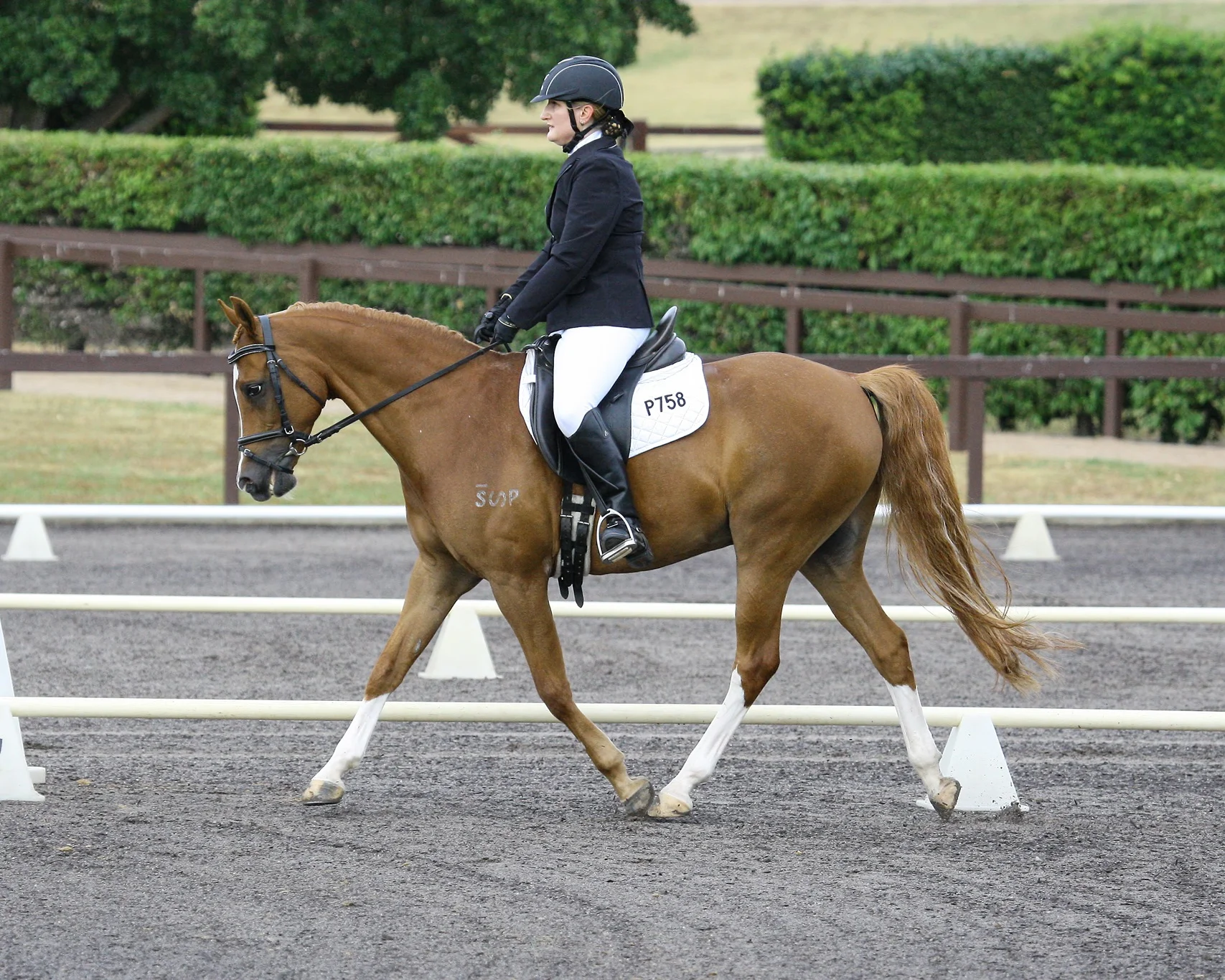 Didi+Balnaves+and+Sapphire+Park+Constellation+-+OPEN+Pony+of+the+Year.jpg