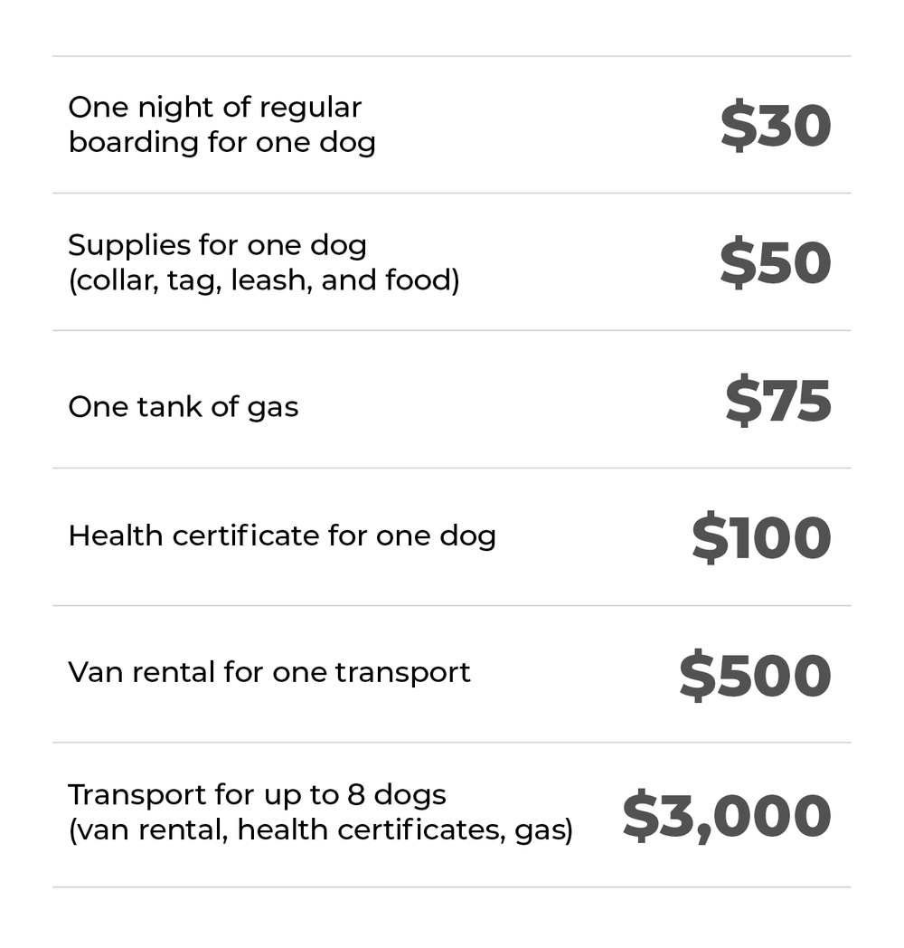 Transport Program — The Street Dog Project