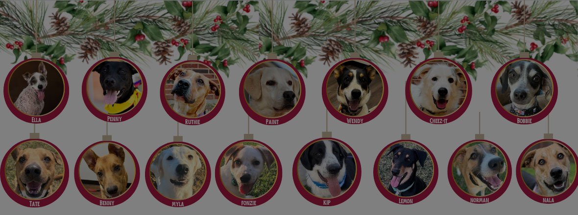 2024-ornament-banner.jpeg