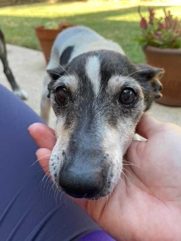 Pebbles – 12/10/23