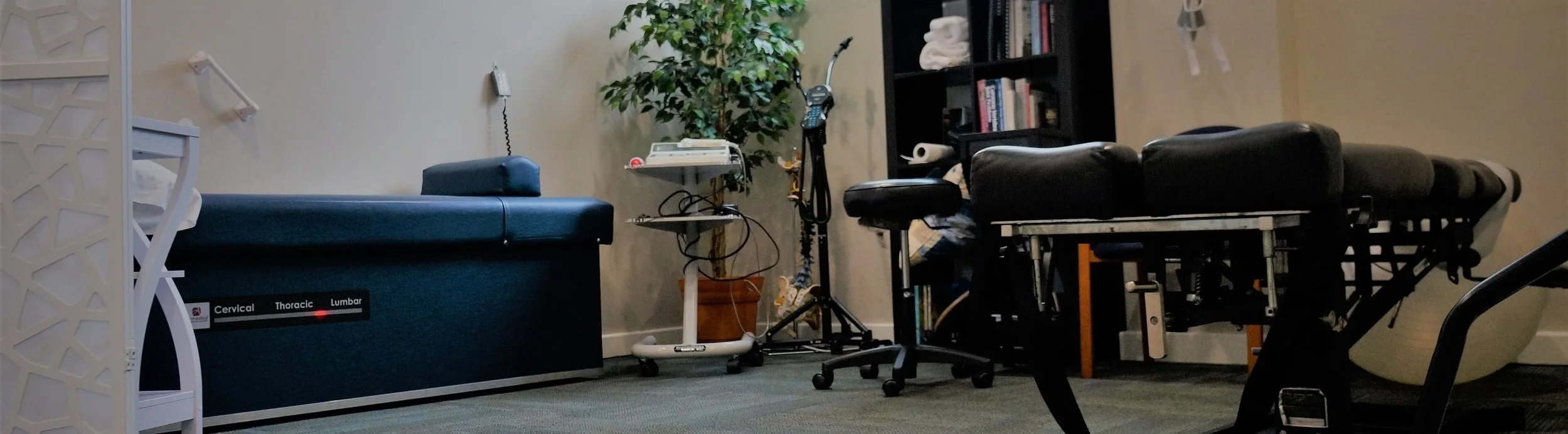 INSIDE OUT WELLNESS. NEW PATIENTS. BERMUDA CHIROPRACTOR.