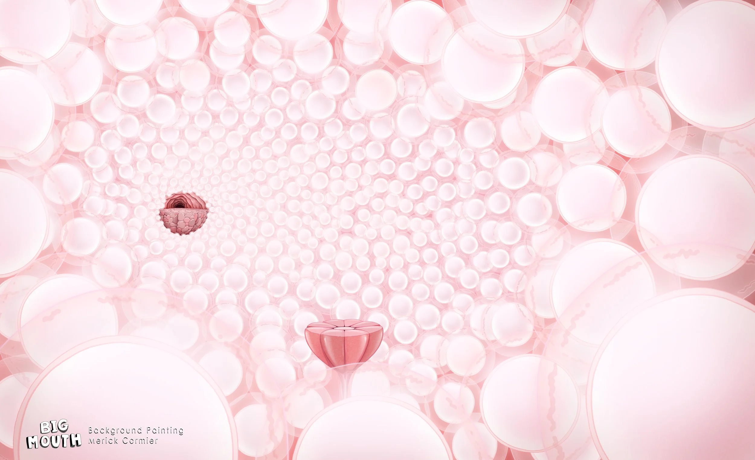 BM803_BG_I002_INT_OVARIES_WIDE_V02_MC copy.jpg