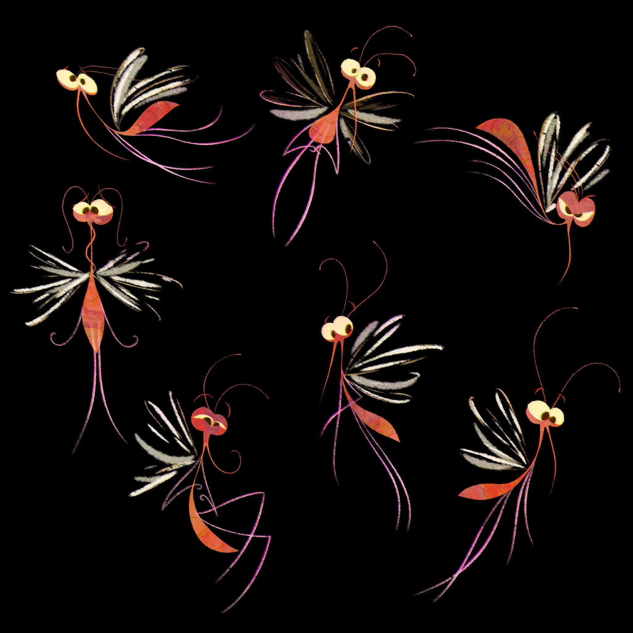 Fly.jpg
