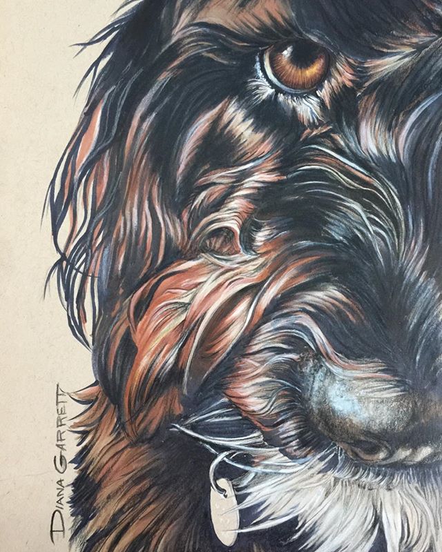 I ❤️Lucy!  I could not stop until I finished my first portrait of my sweet pup.  #prismacolor #markers #mixedmedia #dogs #goldendoodles #art #pet-portraits #StrathmorePaper