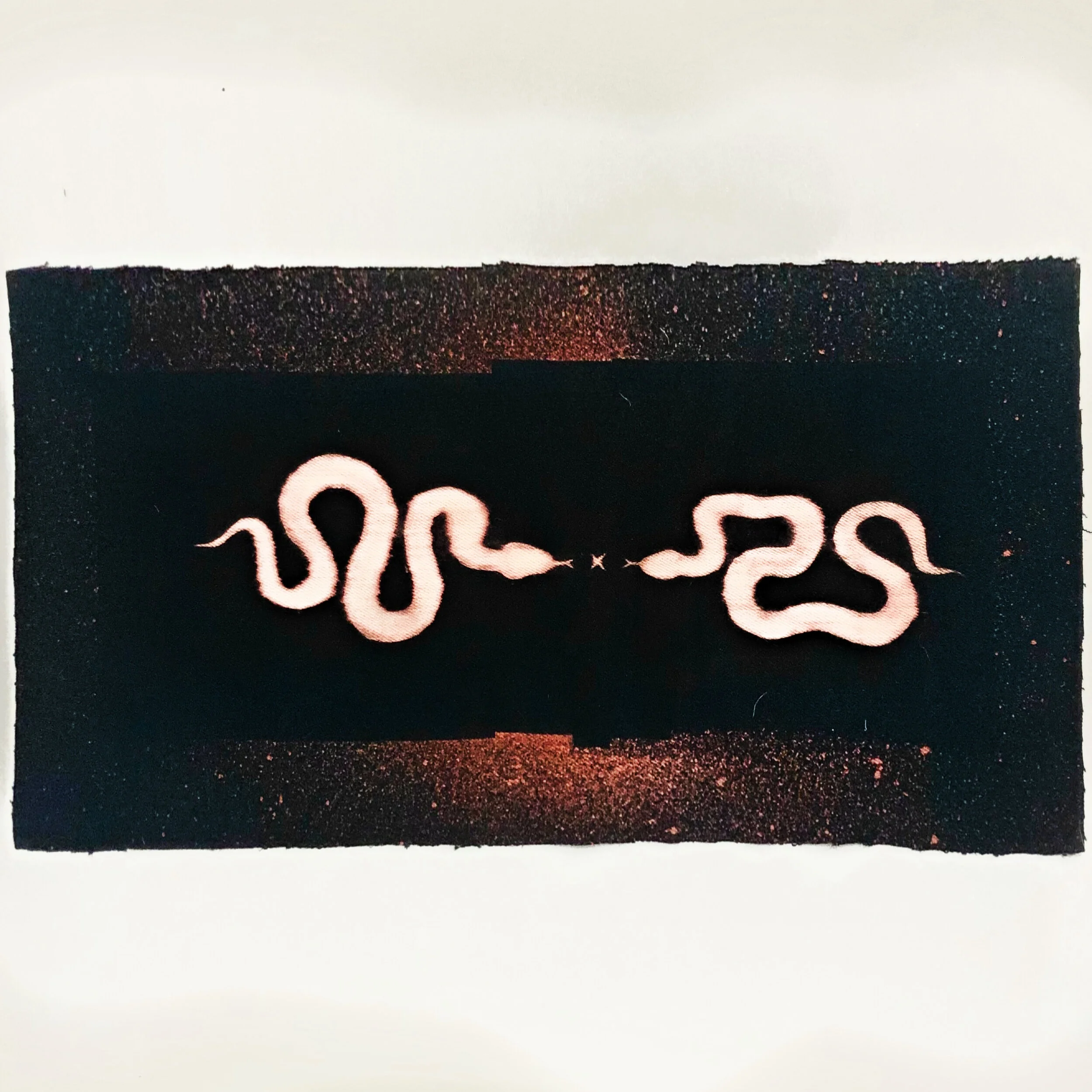 snakes2.jpg